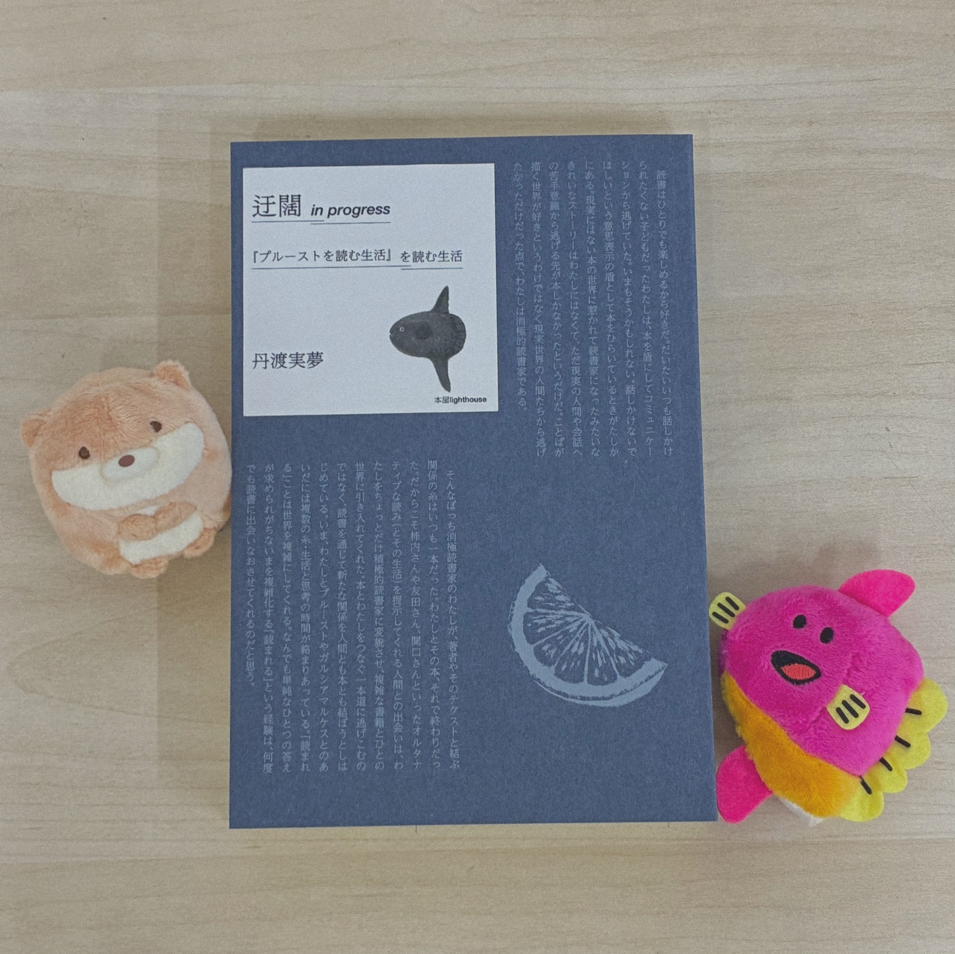 迂闊 in progress 『プルーストを読む生活』を読む生活