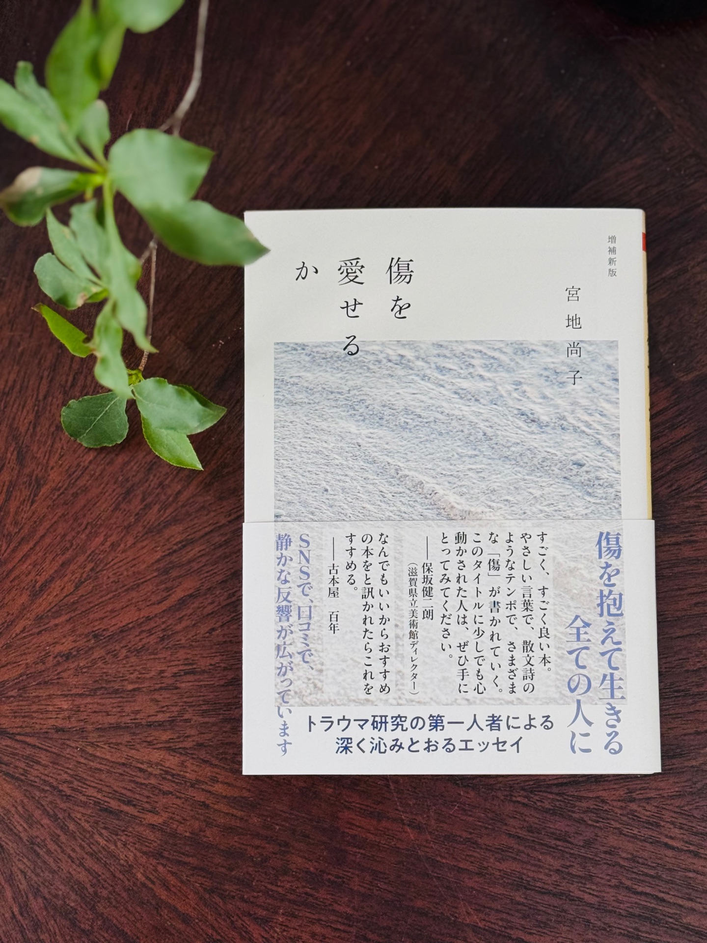 傷を愛せるか　増補新版