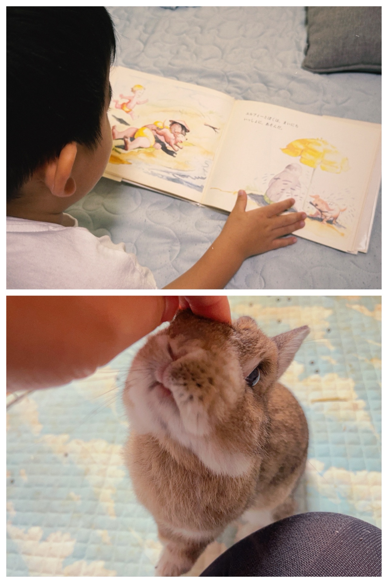 ずーっとずっとだいすきだよ