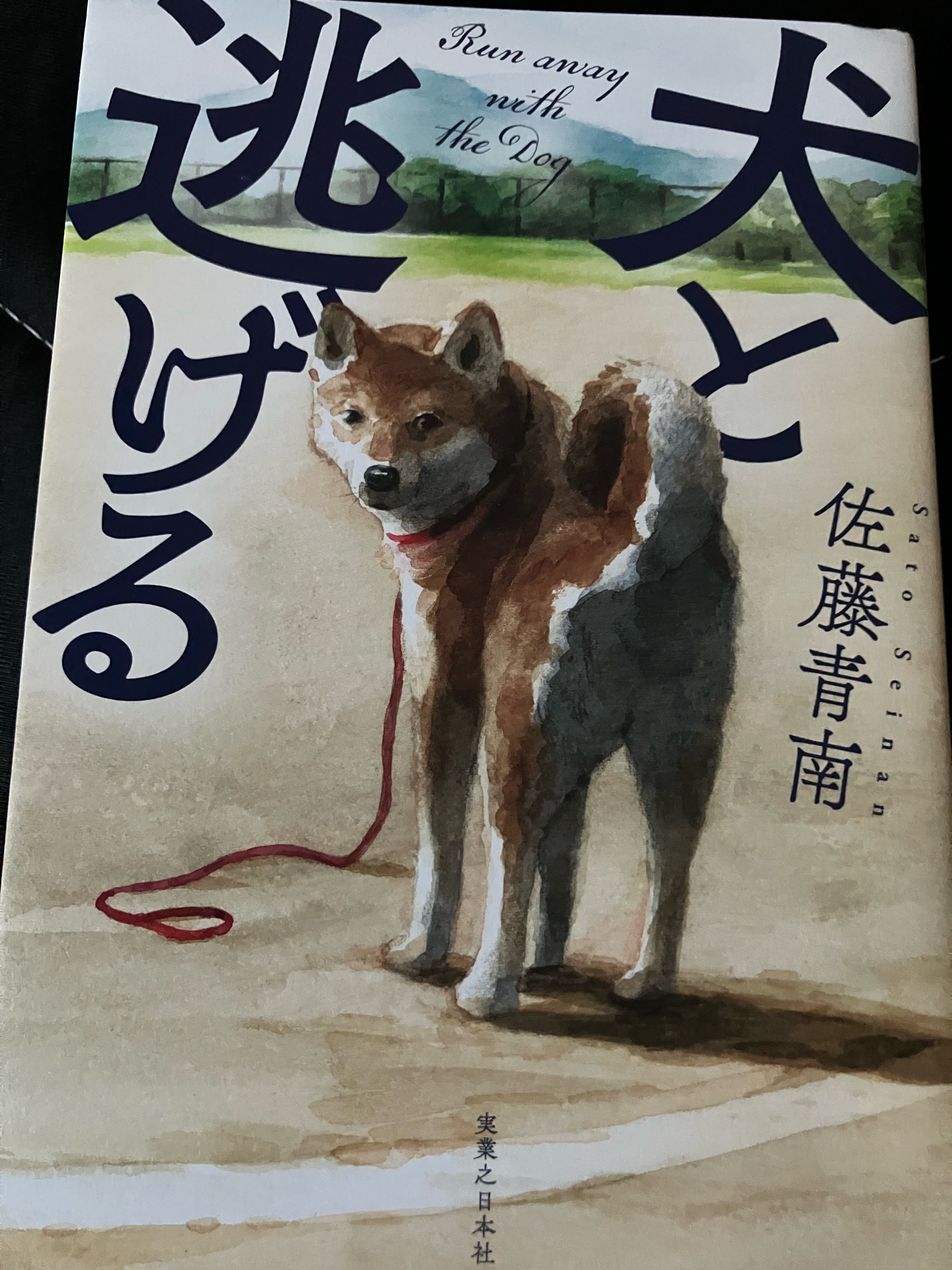 犬と逃げる