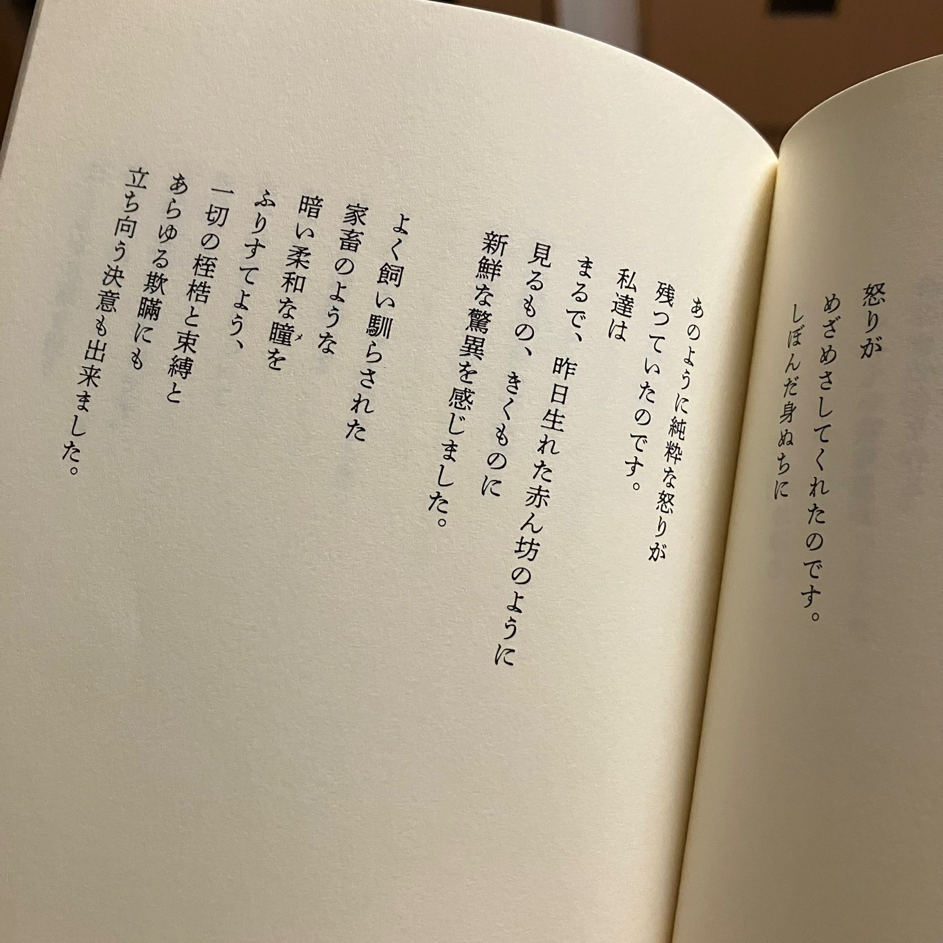 どこかの遠い友に