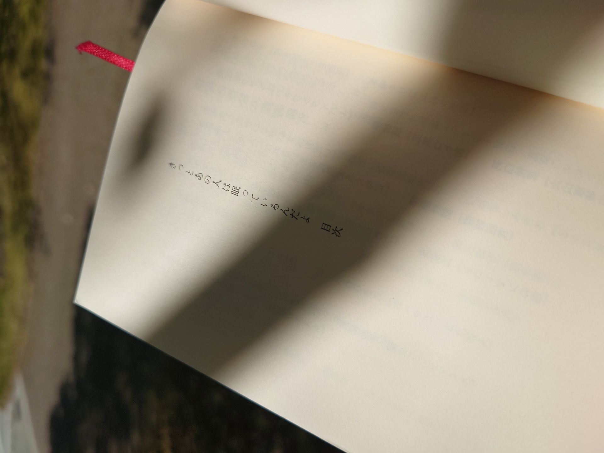 きっとあの人は眠っているんだよ