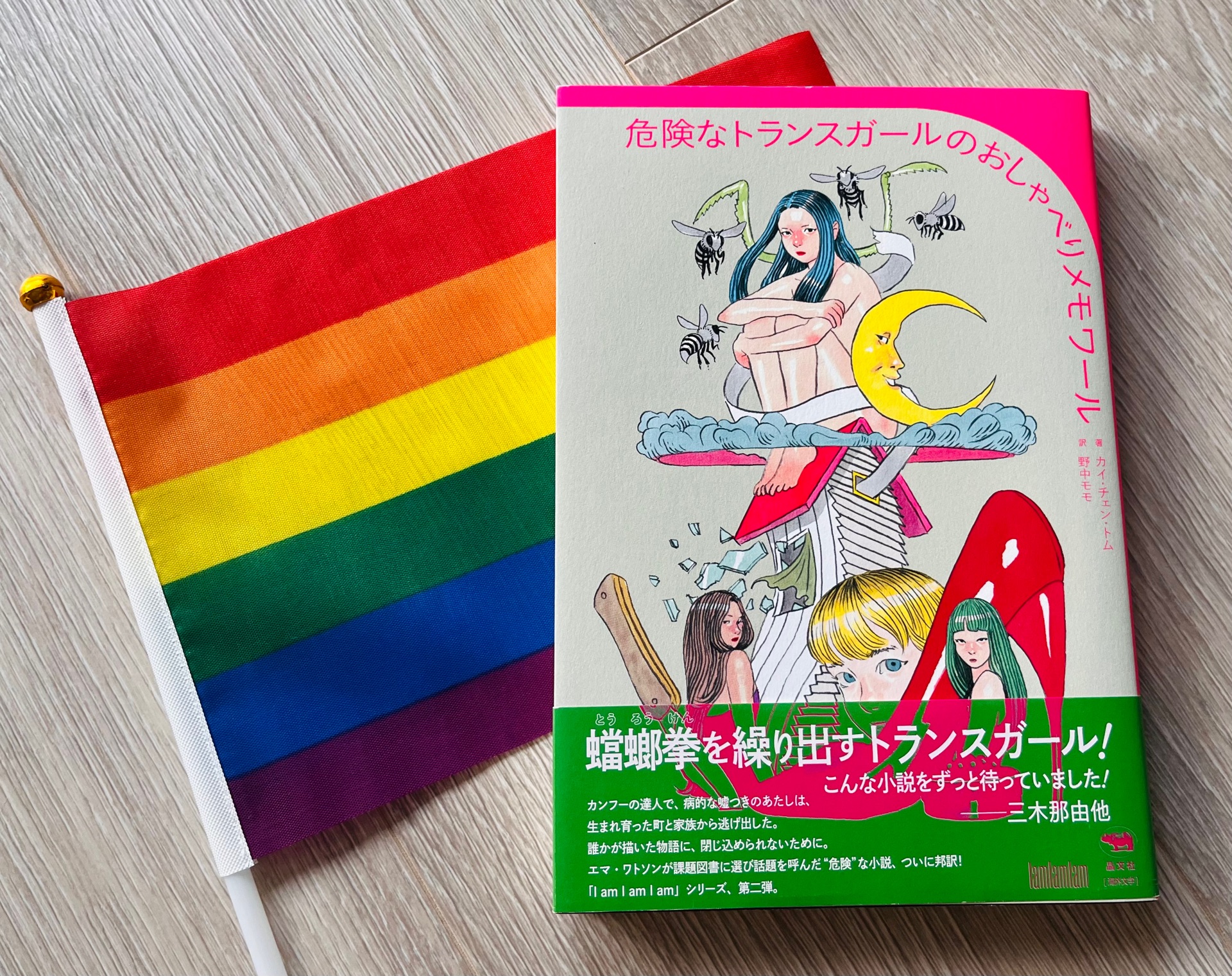 危険なトランスガールのおしゃべりメモワール