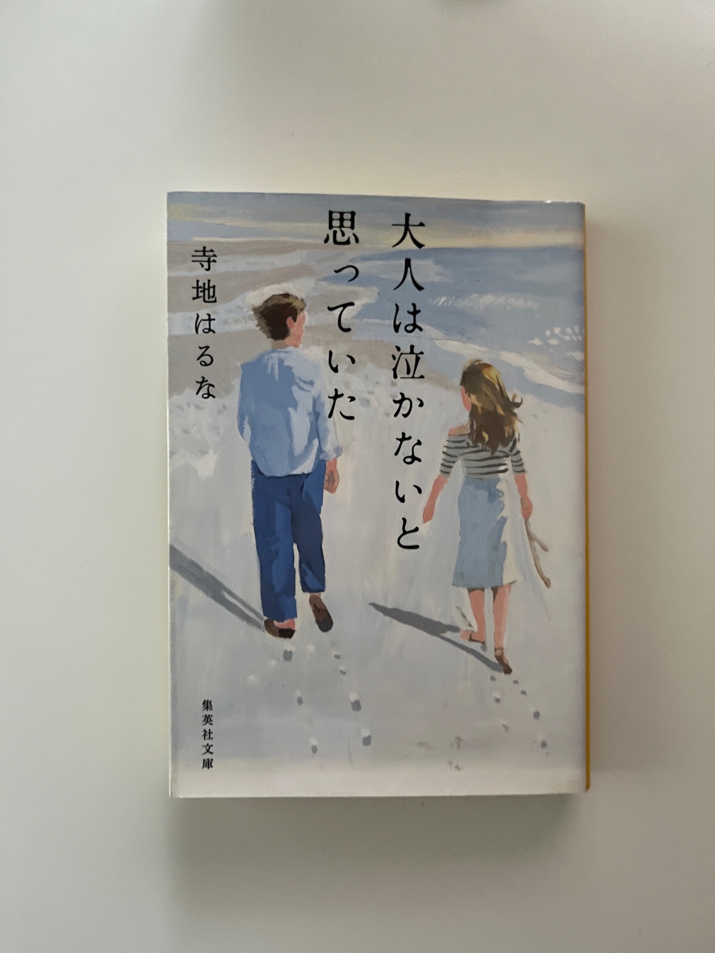 大人は泣かないと思っていた (集英社文庫)