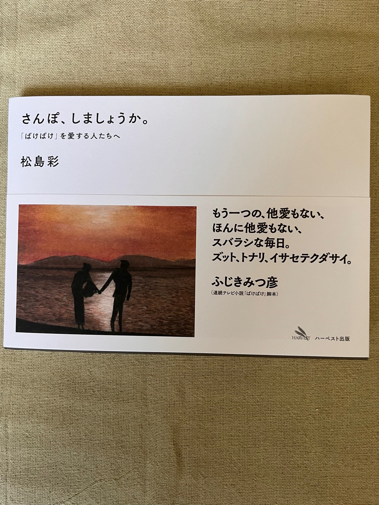 セツと八雲