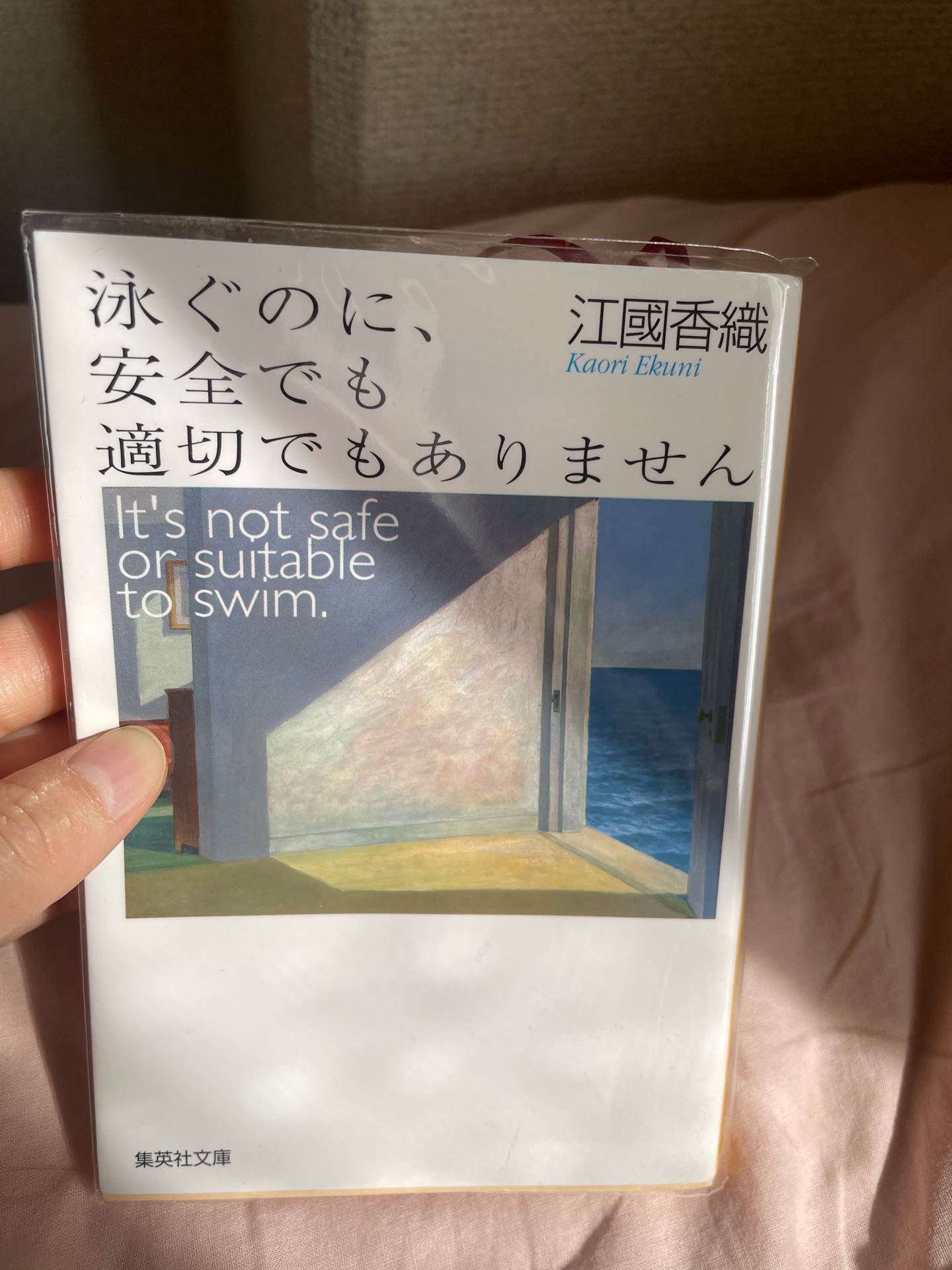 泳ぐのに、安全でも適切でもありません