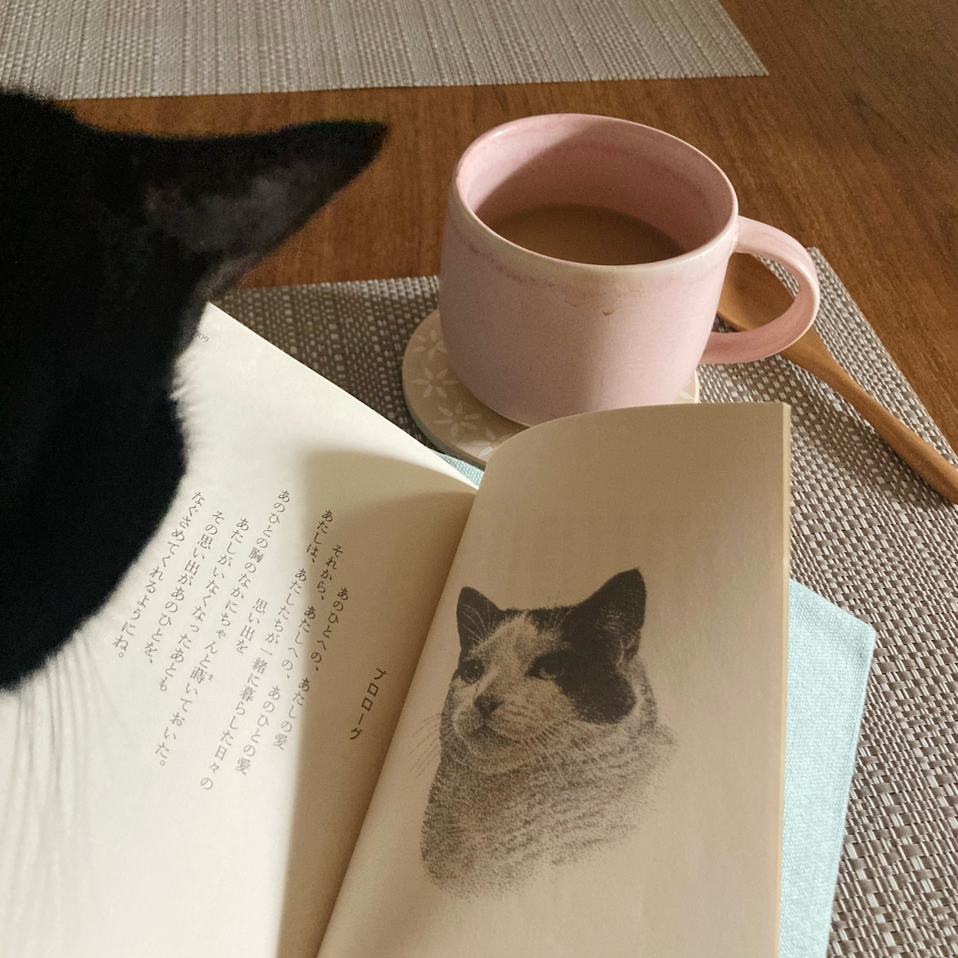あたしの一生
