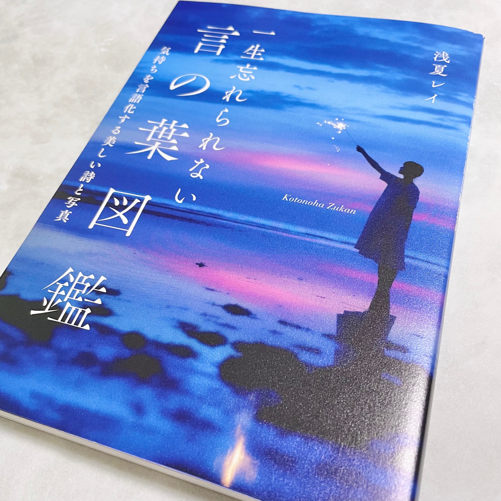 一生忘れられない言の葉図鑑 気持ちを言語化する美しい詩と写真