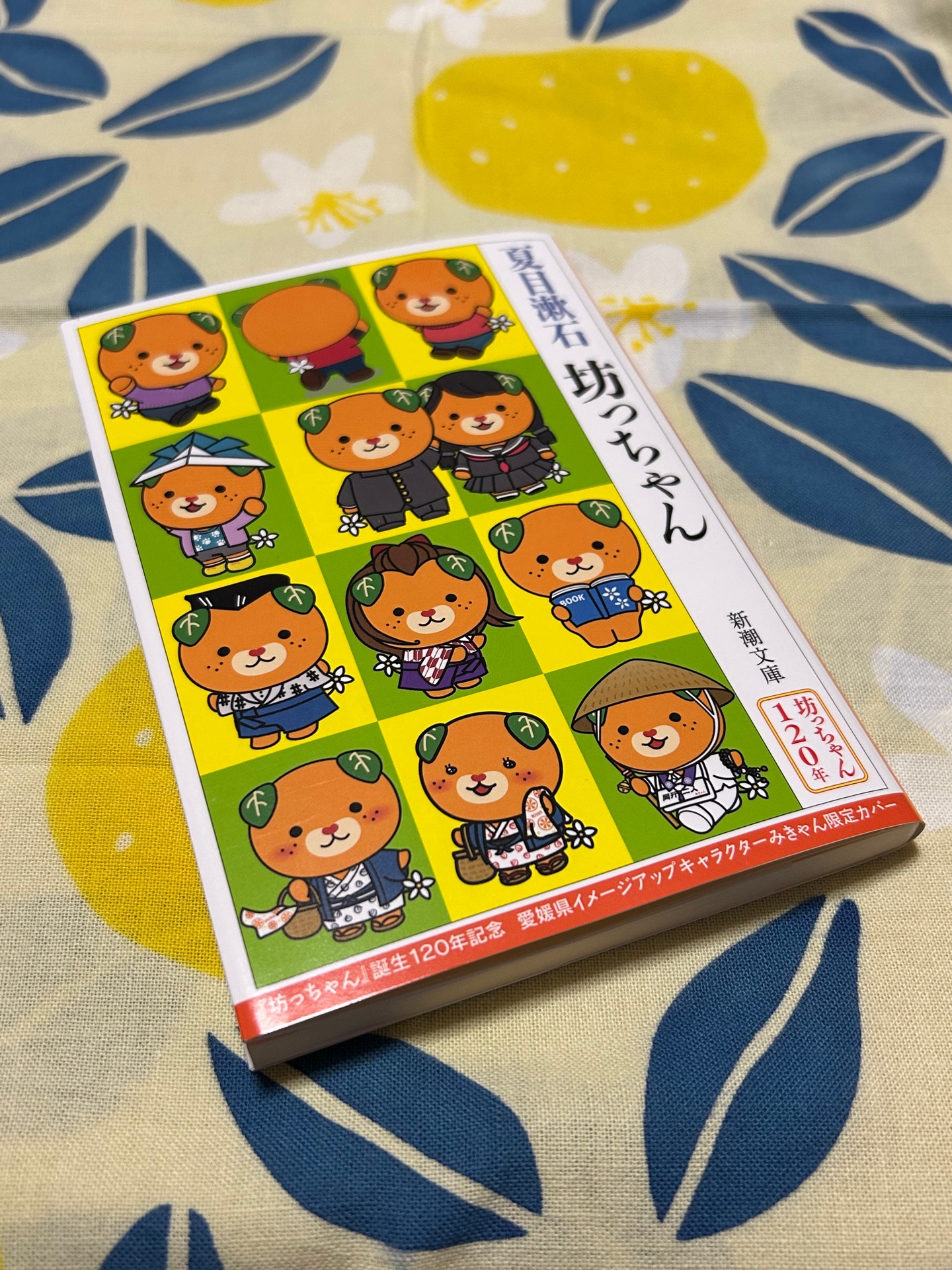 坊っちゃん(新潮文庫)