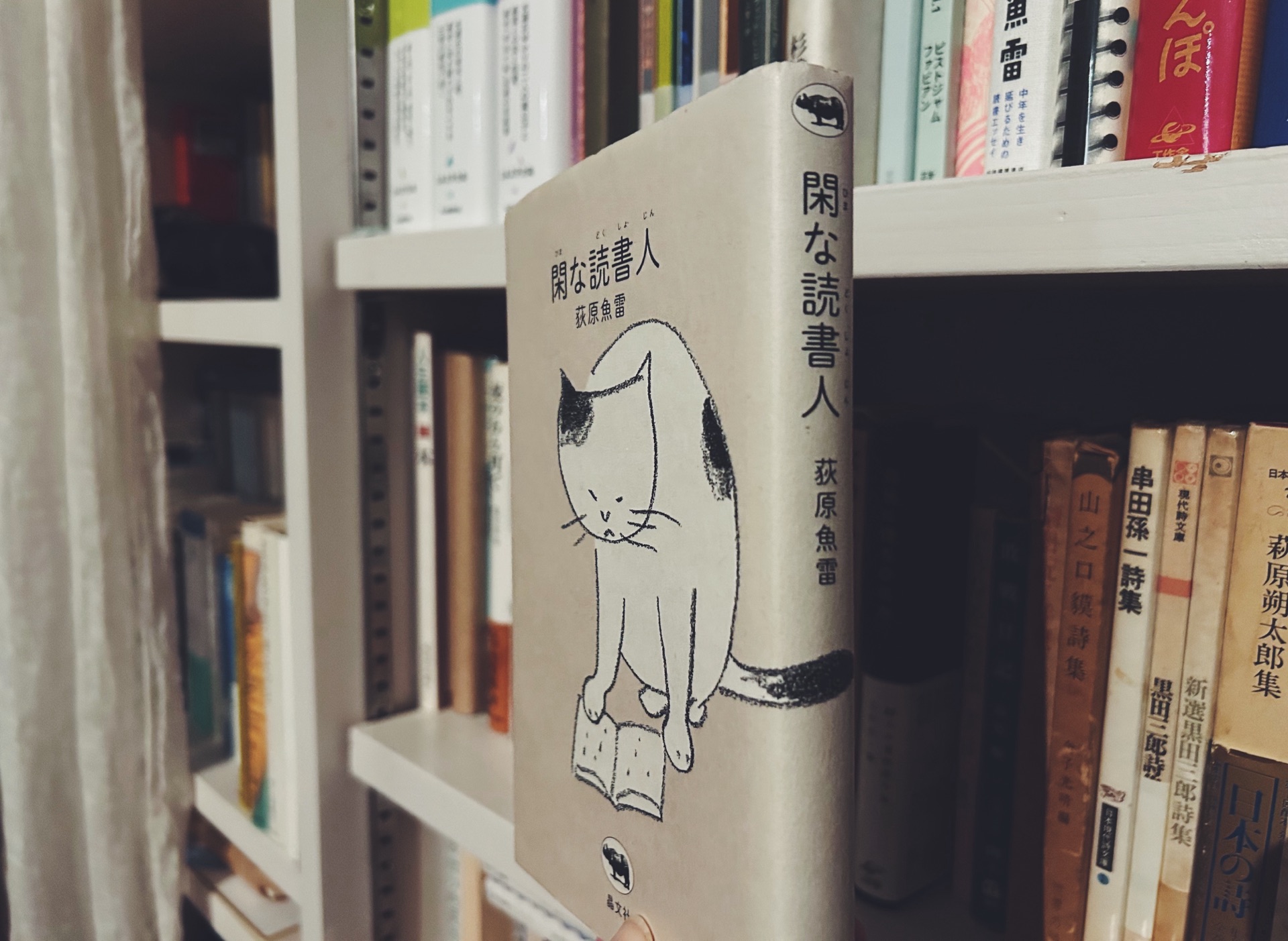 閑な読書人