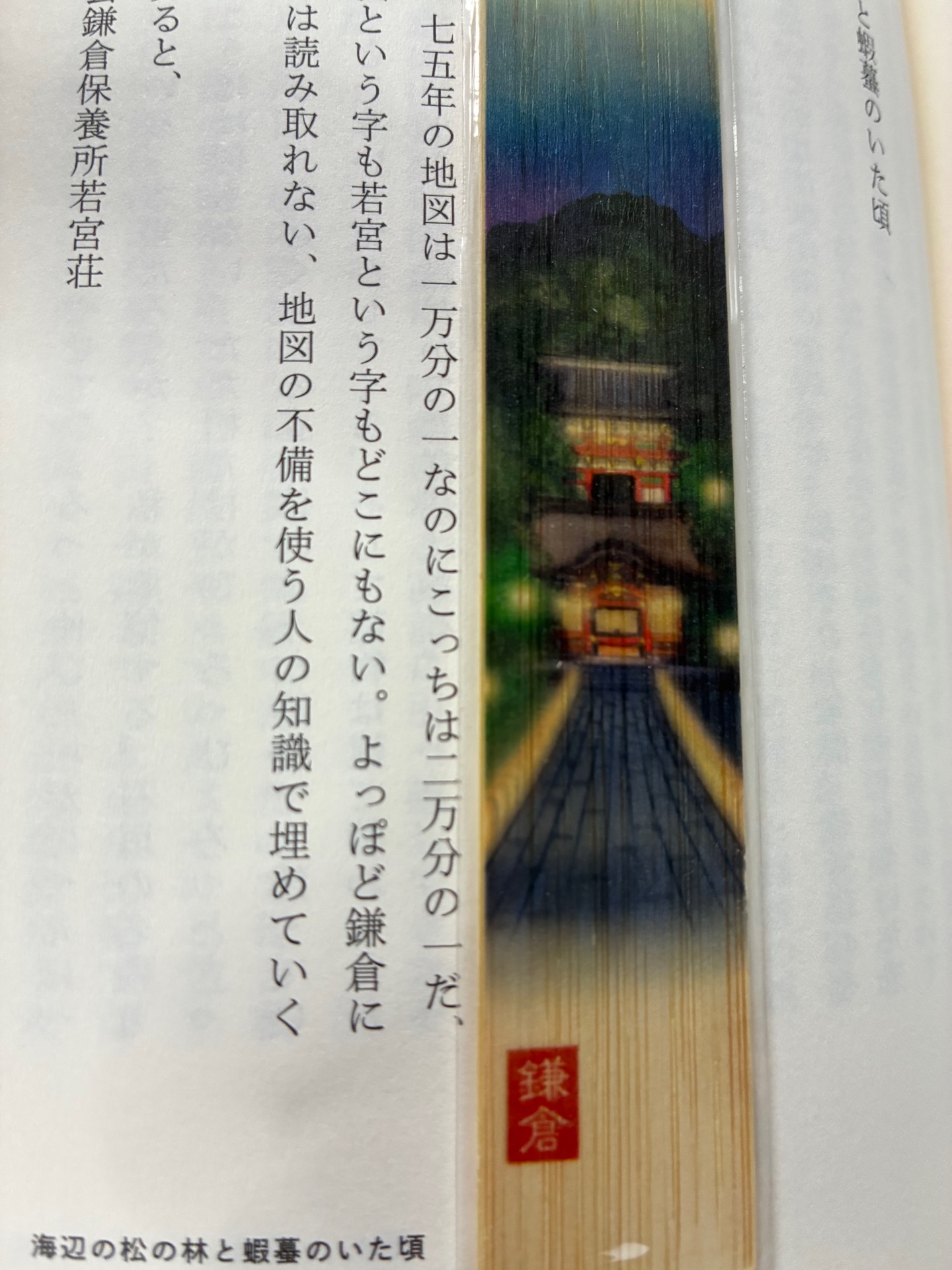 鉄の胡蝶は