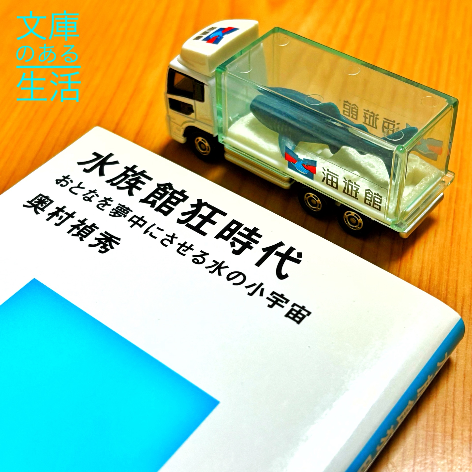 水族館狂時代 〈おとなを夢中にさせる水の小宇宙〉 (講談社現代新書)
