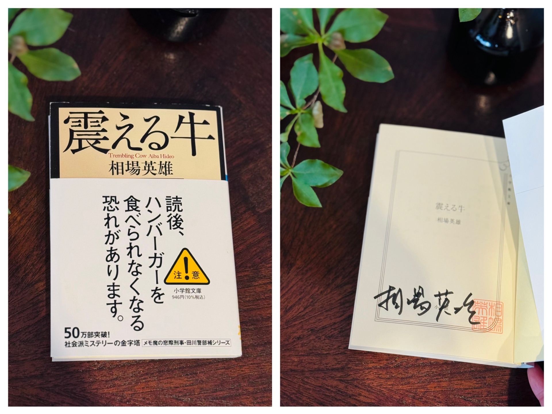 震える牛
