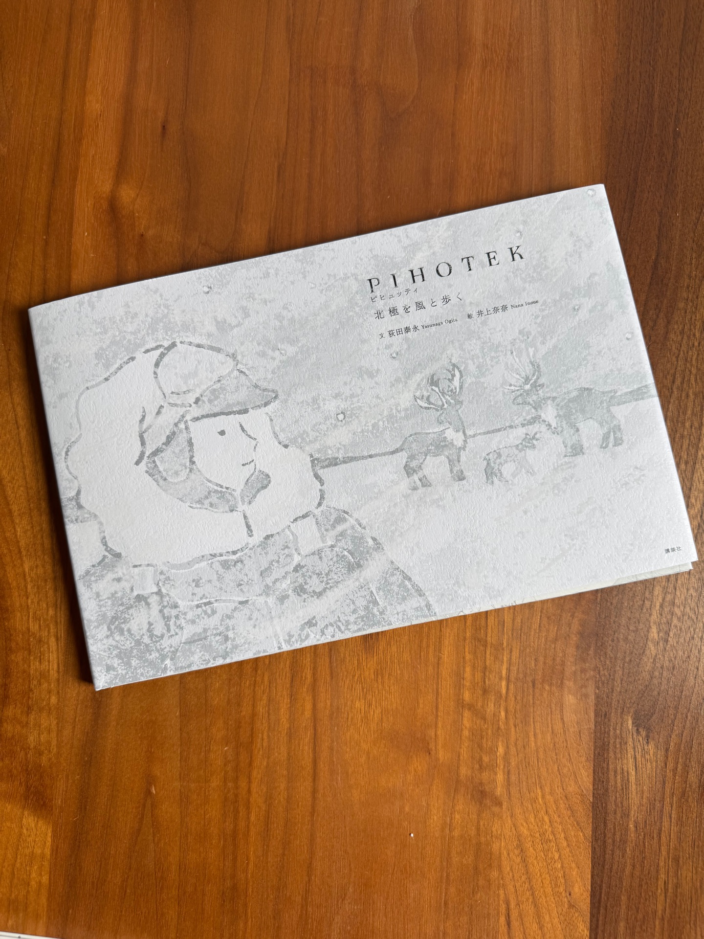 PIHOTEK 北極を風と歩く