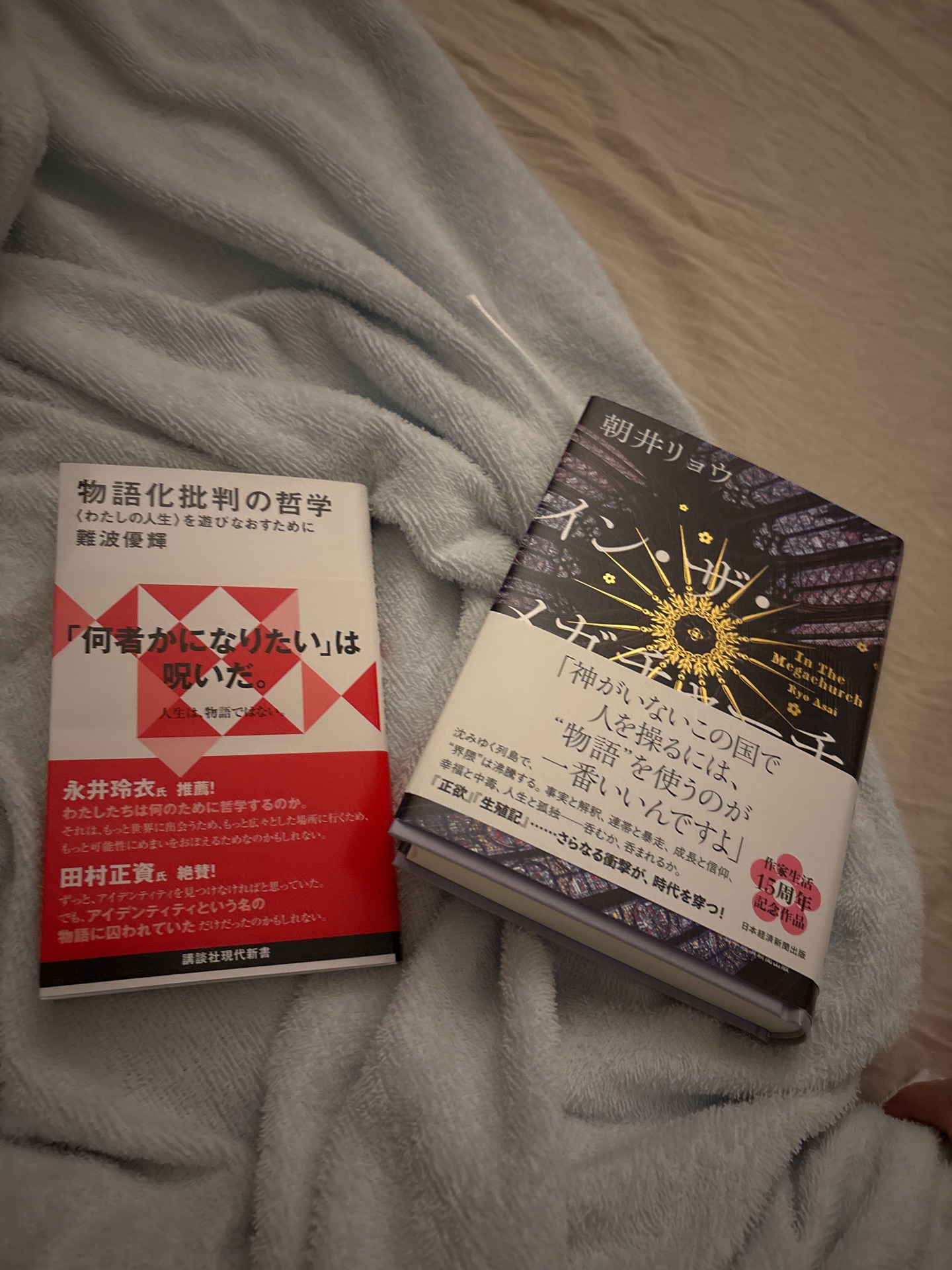 イン・ザ・メガチャーチ