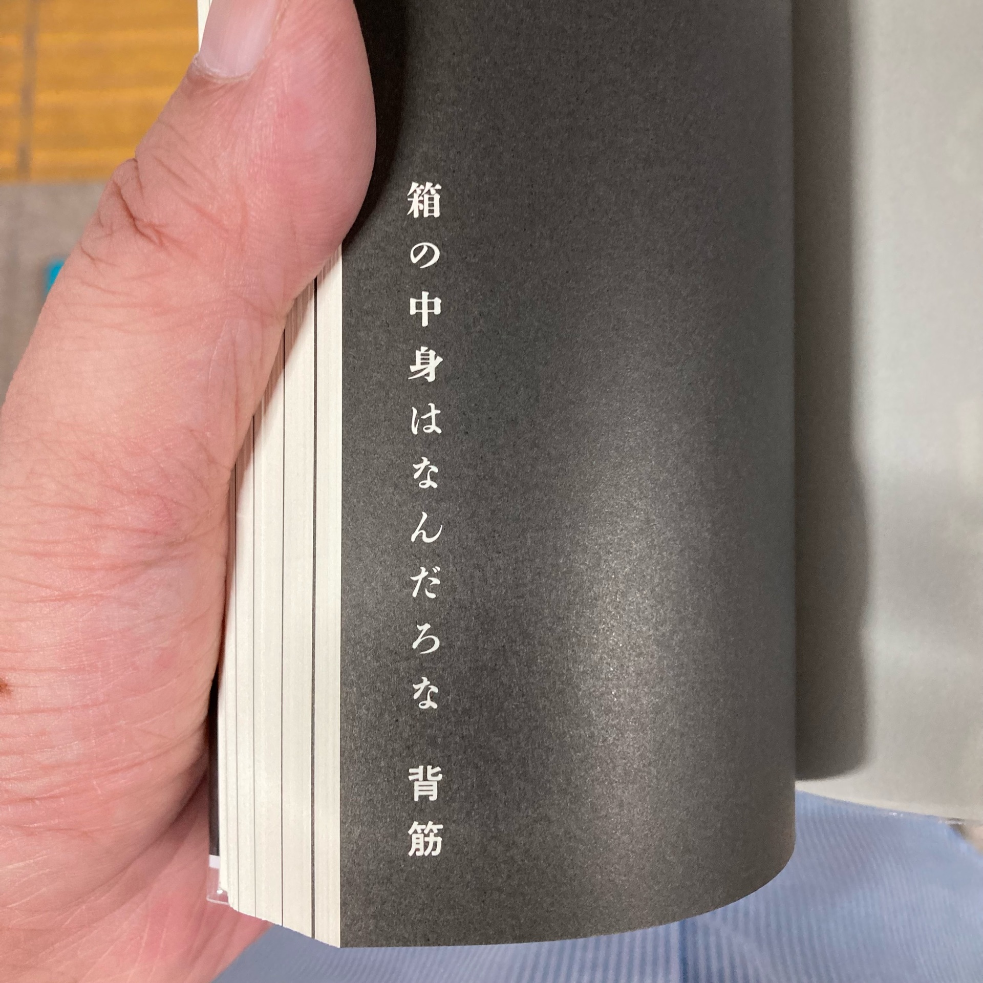 その他の危険