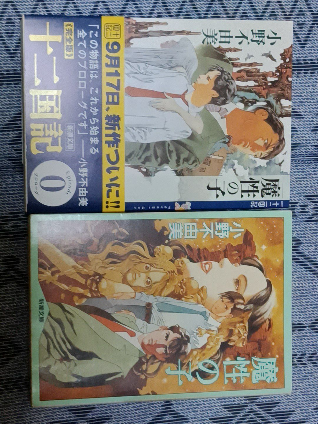 魔性の子 十二国記