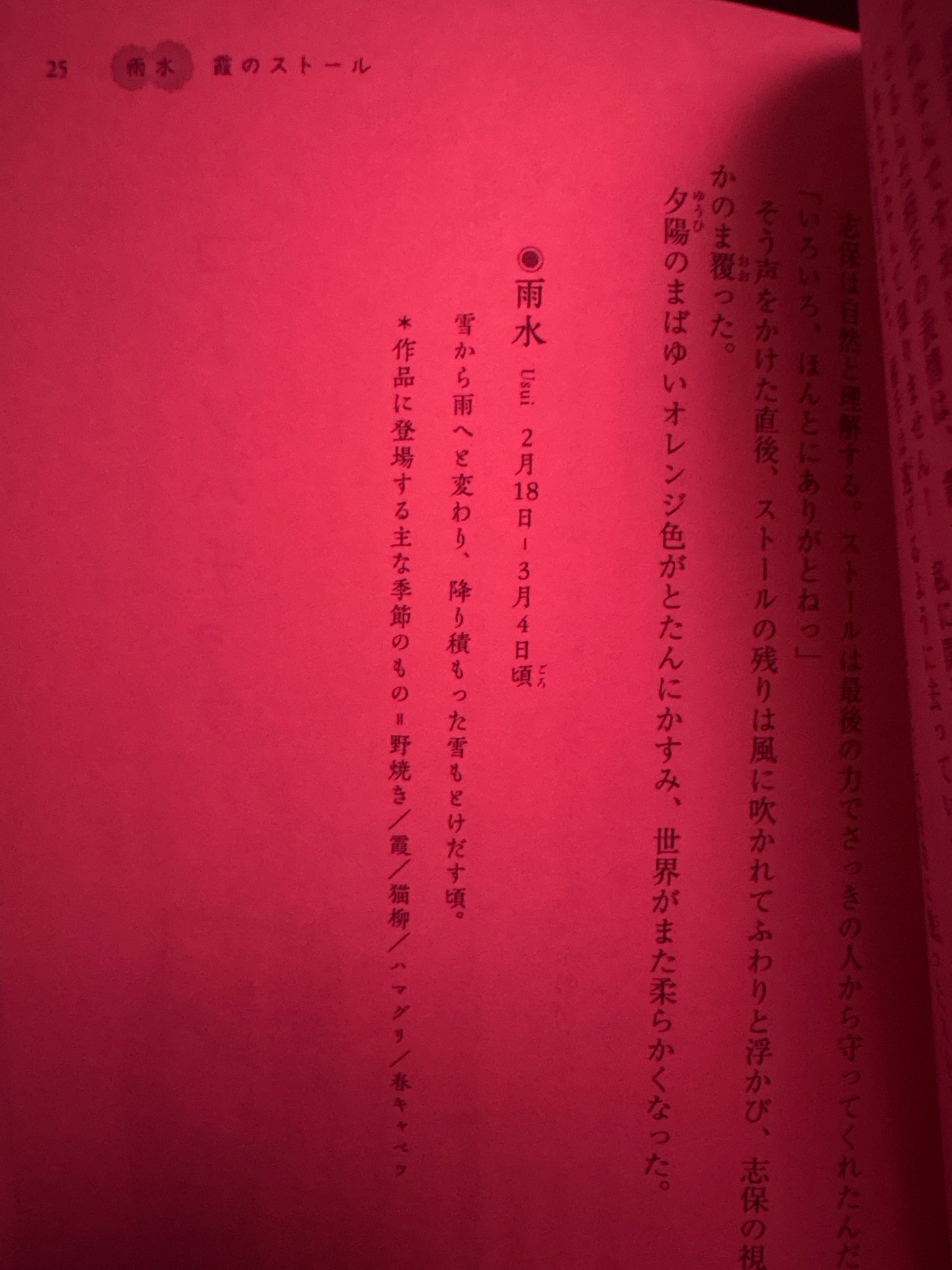 24のひらめき!と僕らの季節