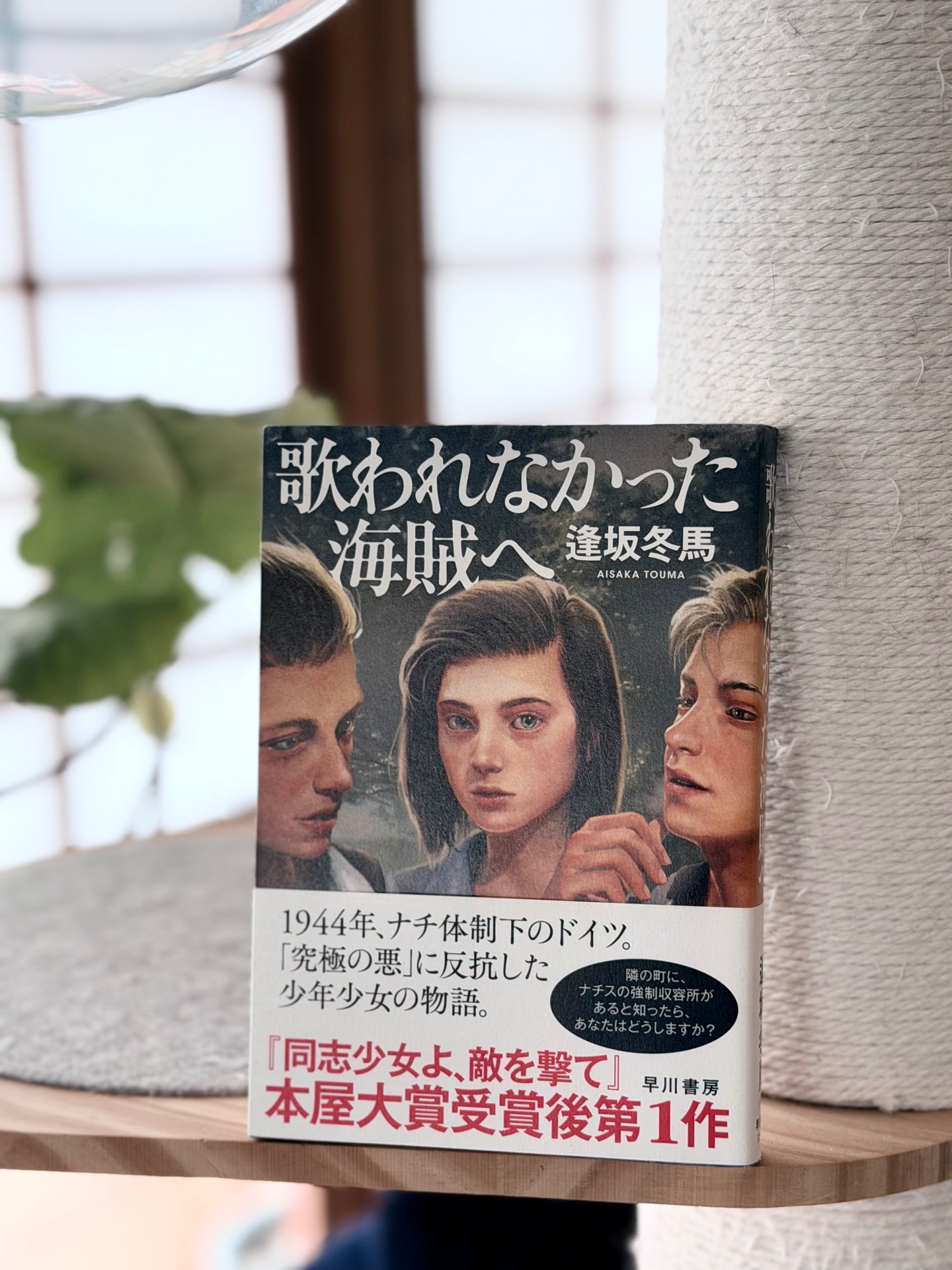 歌われなかった海賊へ