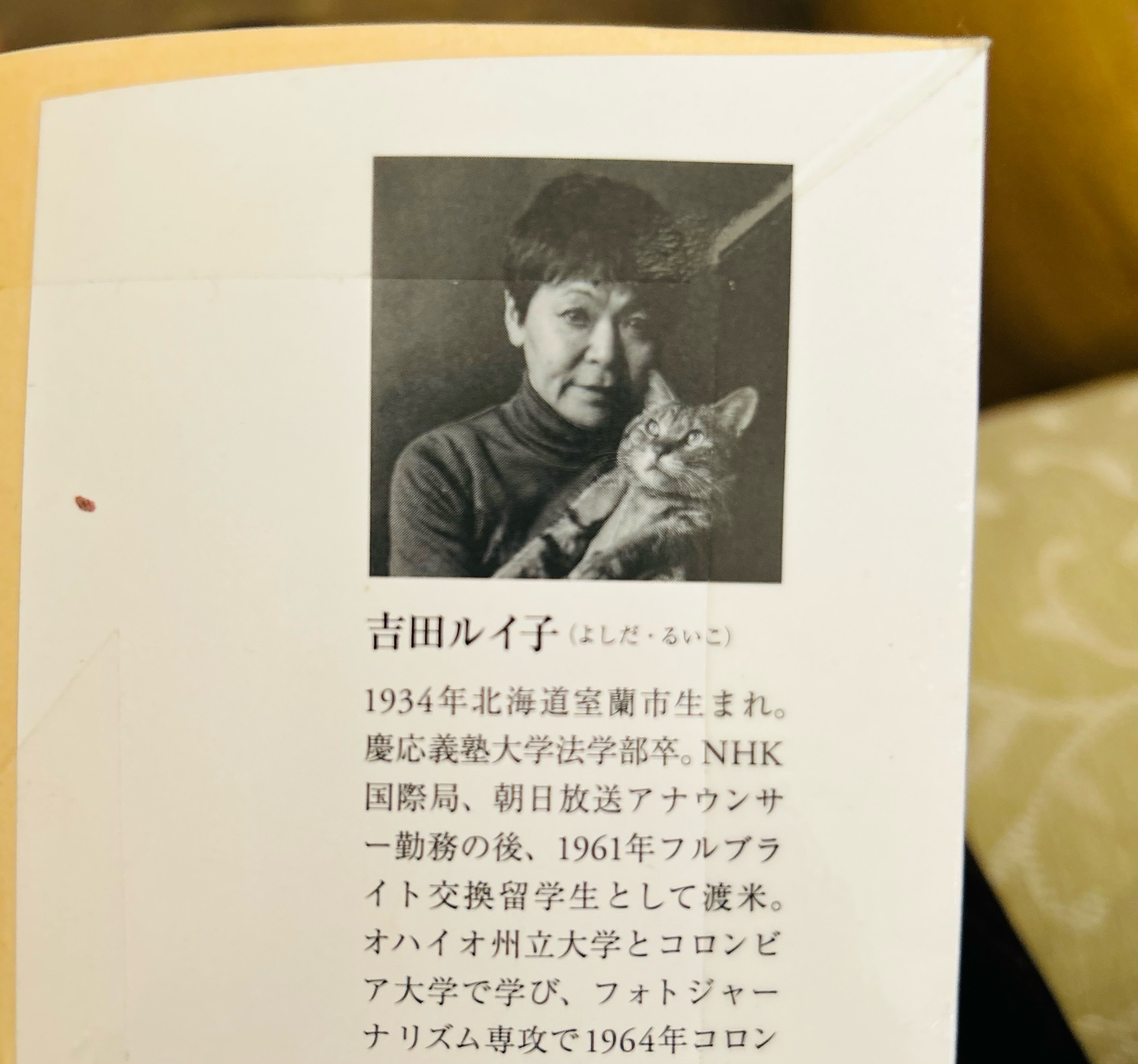 ハーレムの熱い日々