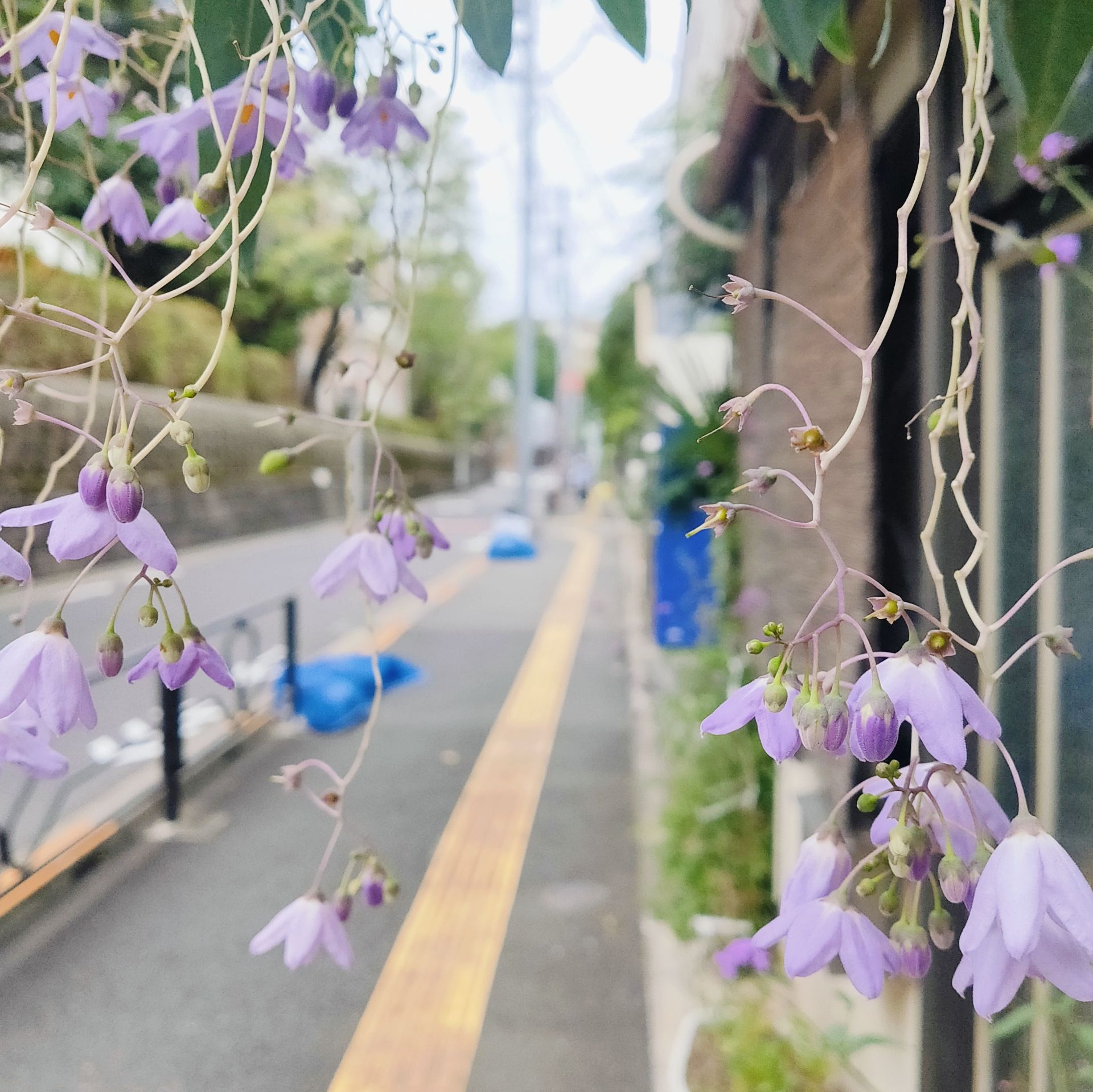 枕草子