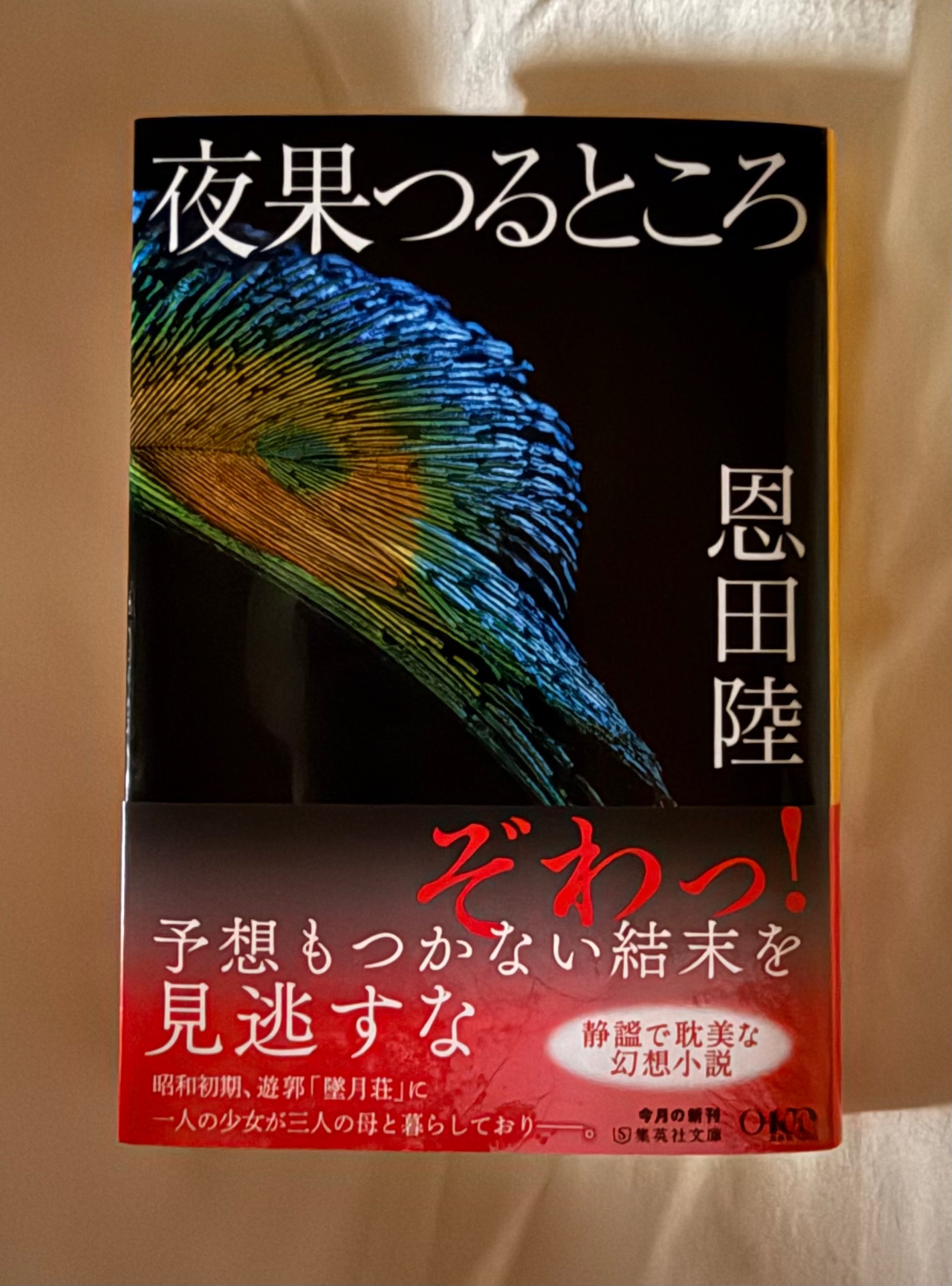 夜果つるところ
