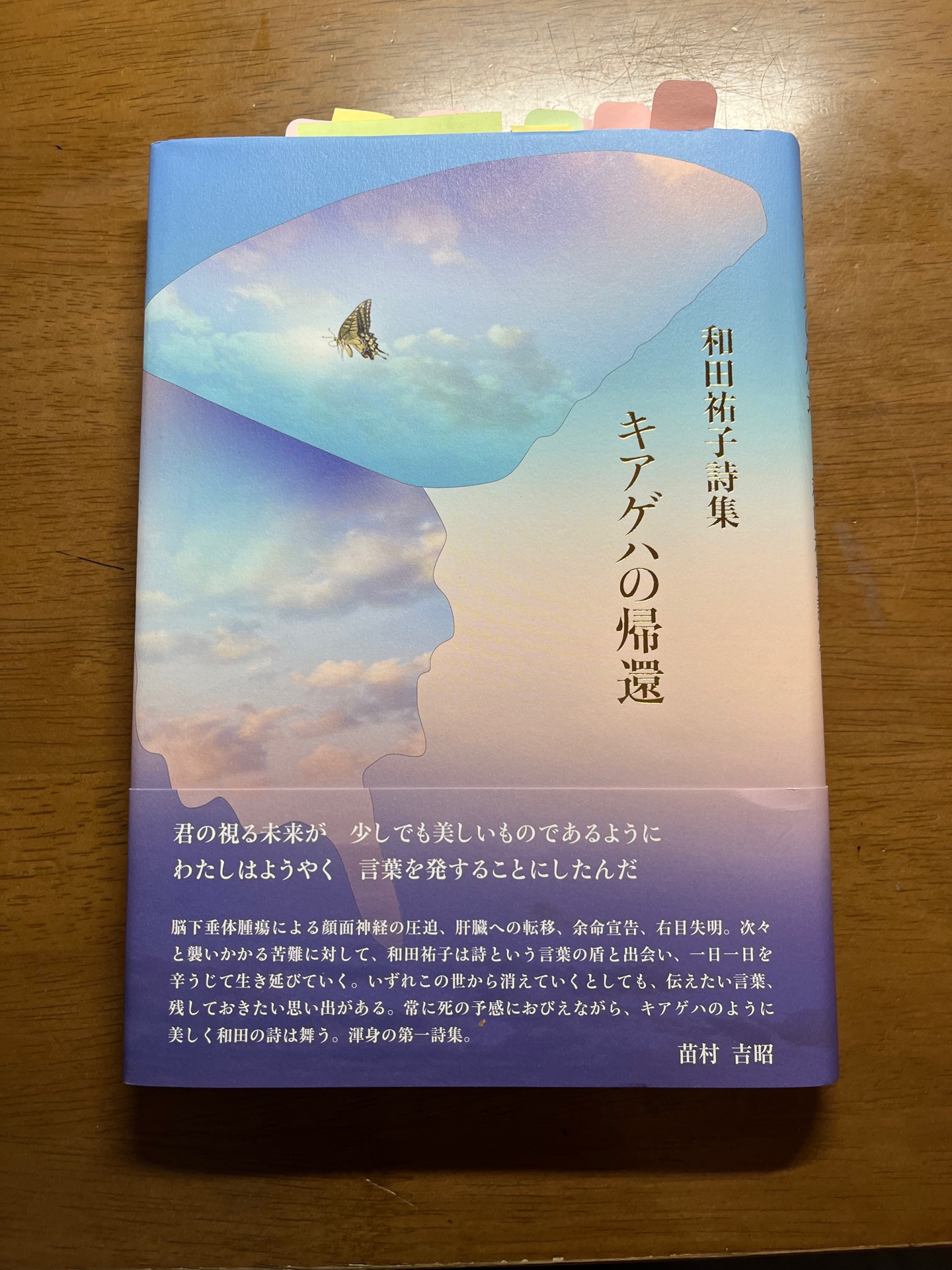 キアゲハの帰還