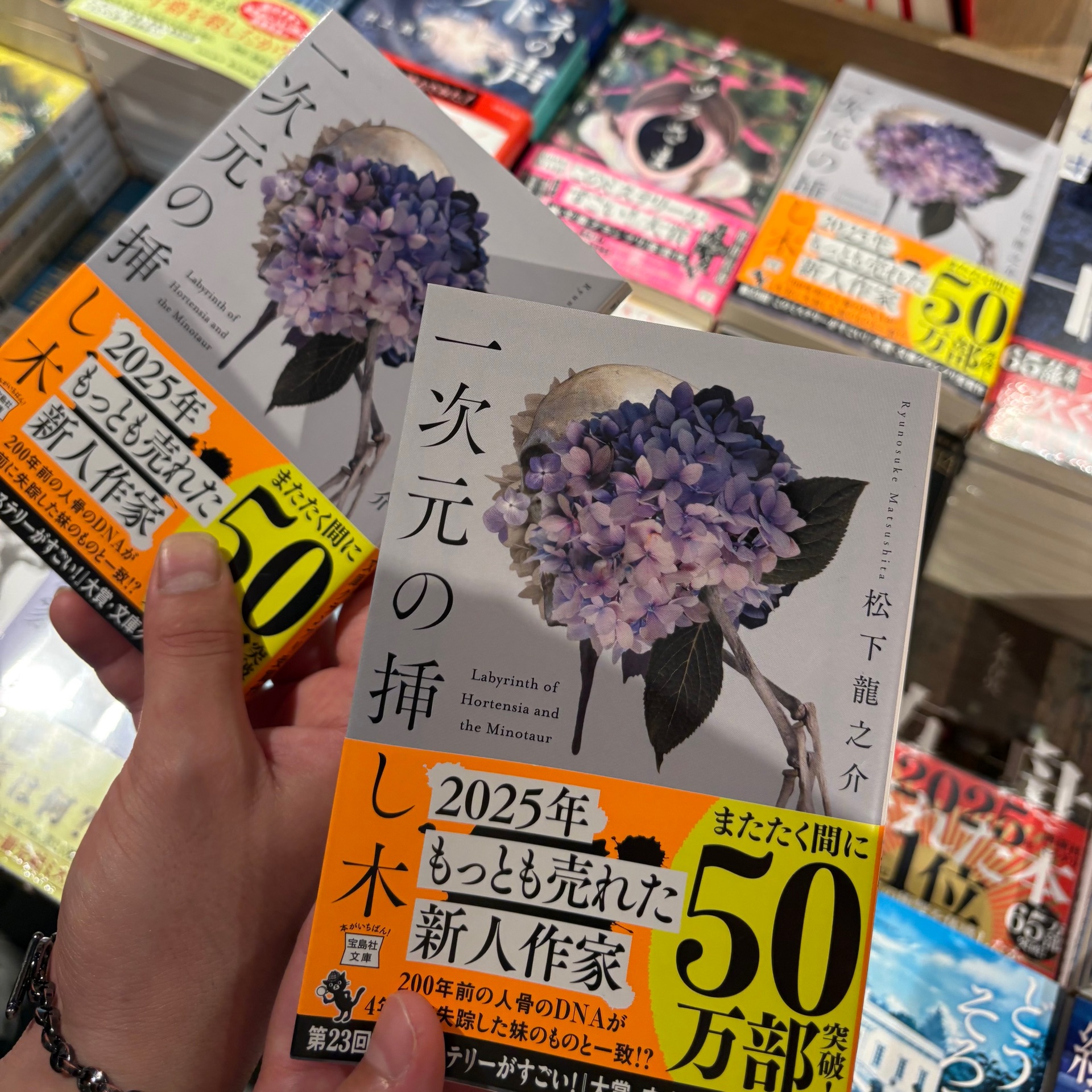 一次元の挿し木