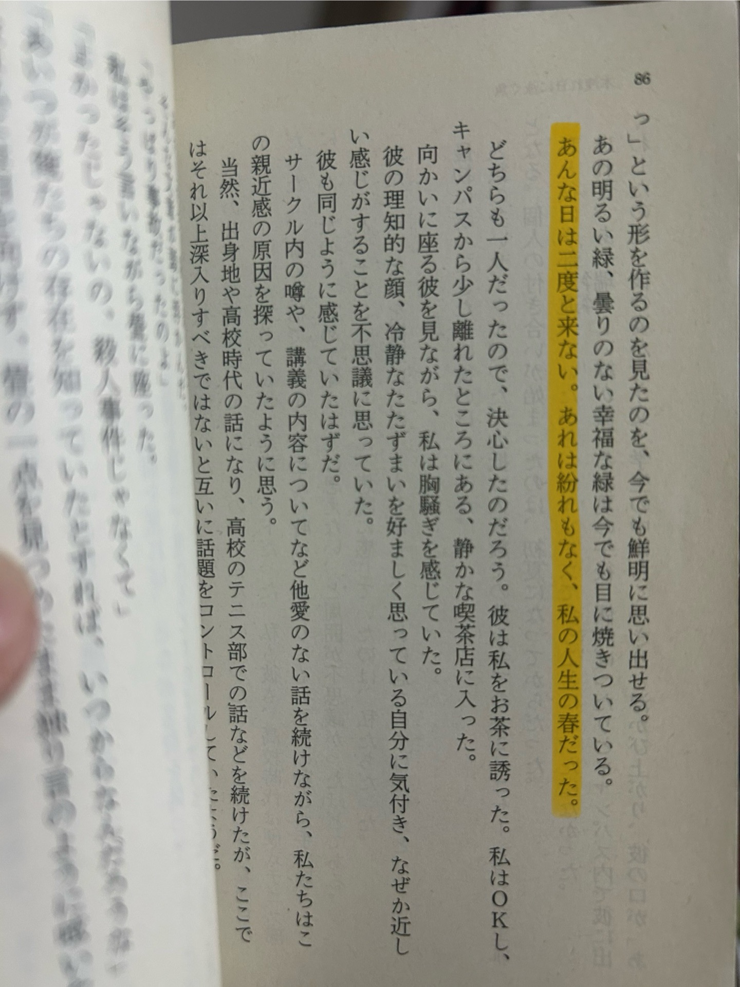 木洩れ日に泳ぐ魚