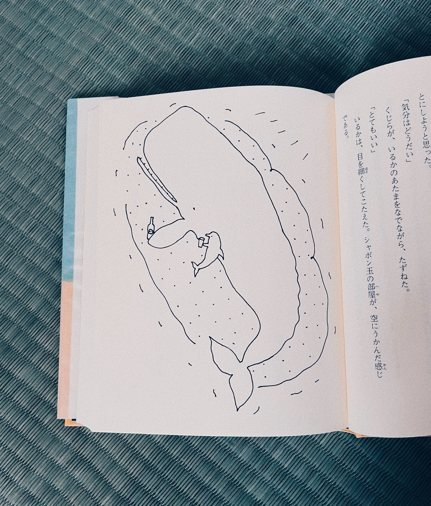 ともだちは海のにおい