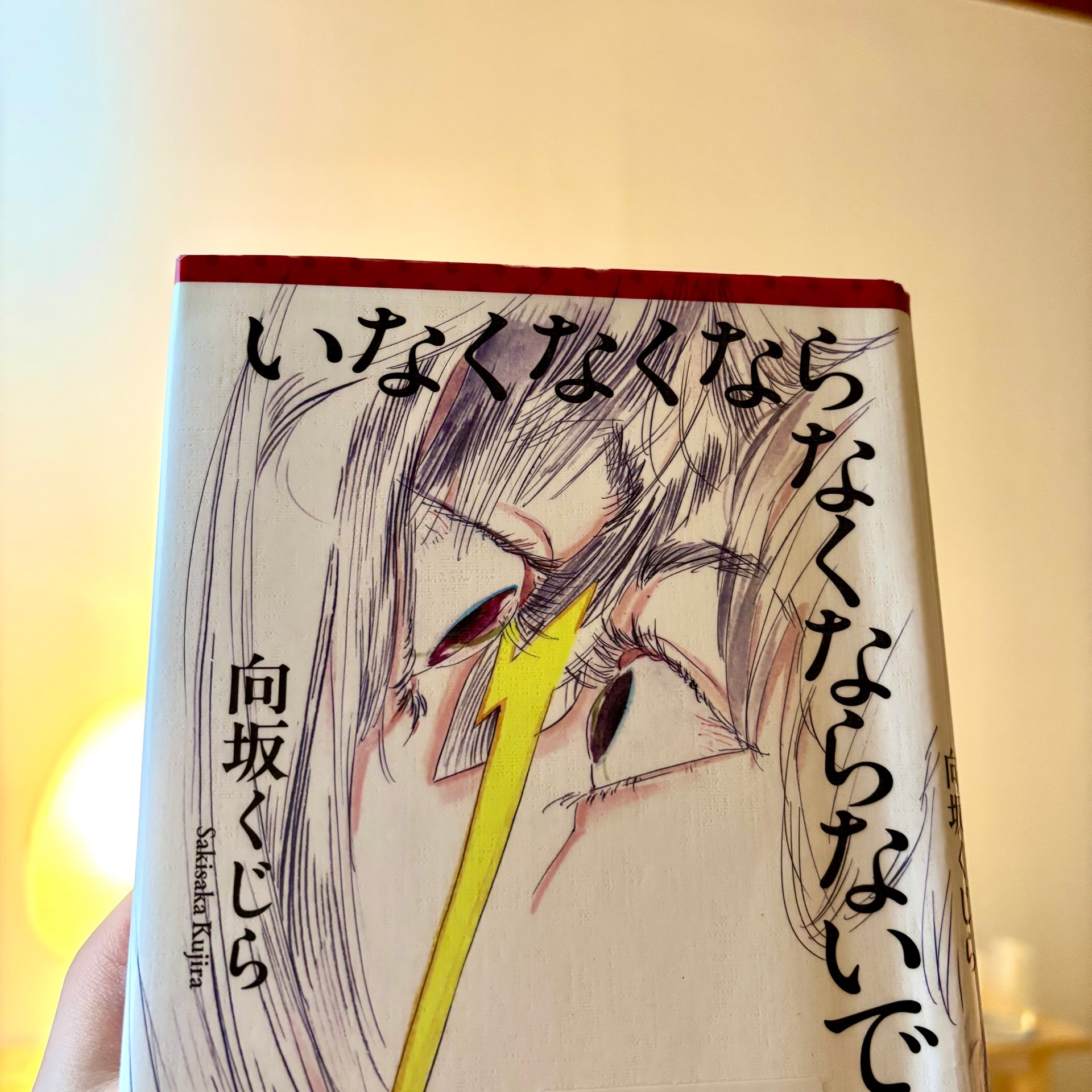 いなくなくならなくならないで