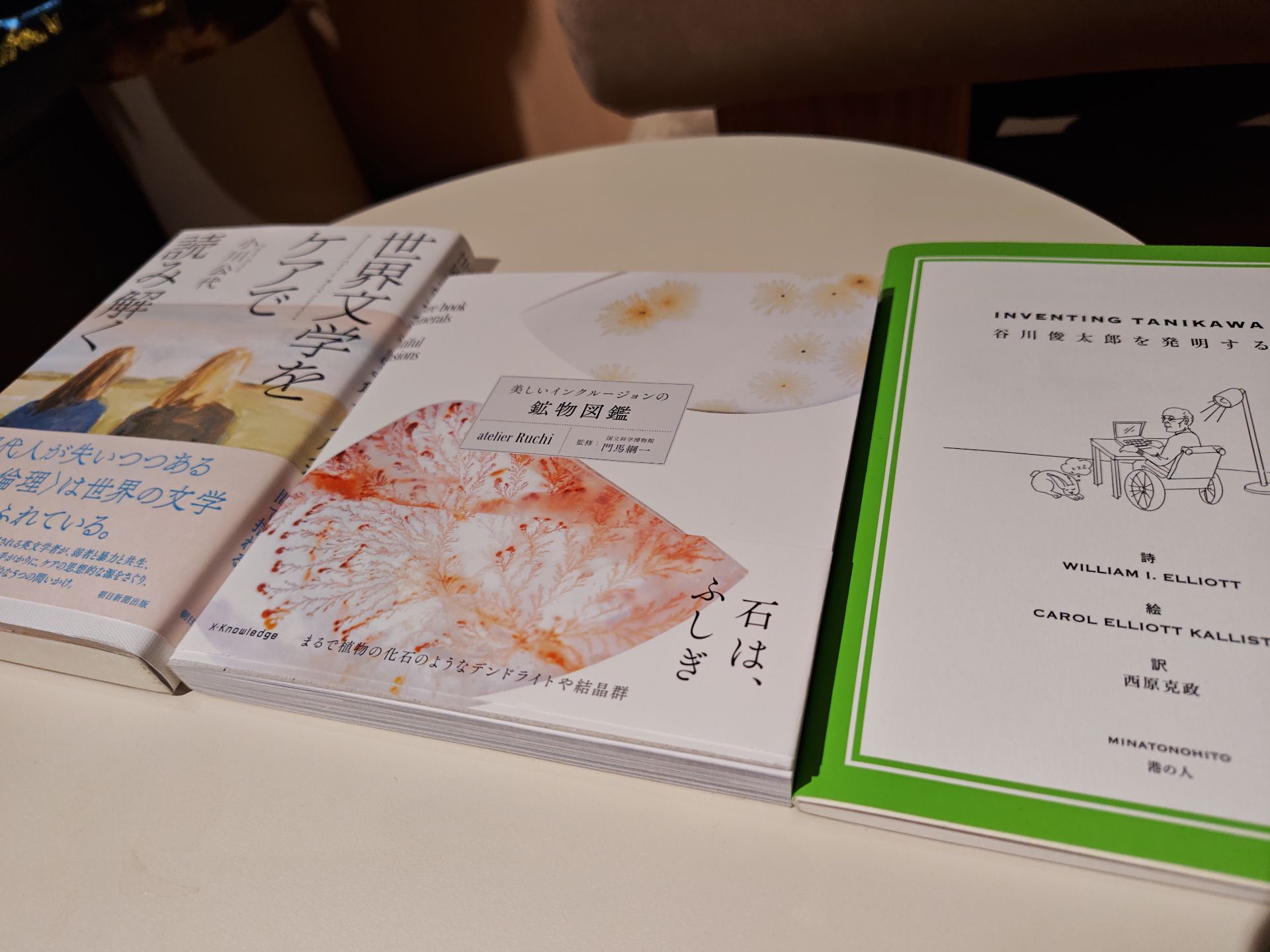 世界文学をケアで読み解く