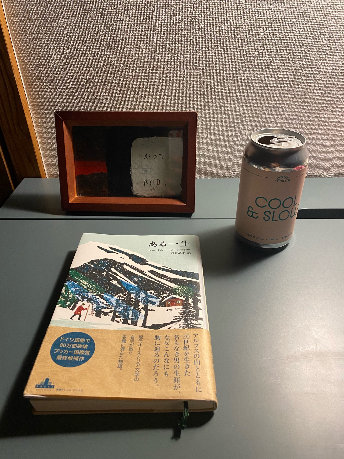 ある一生