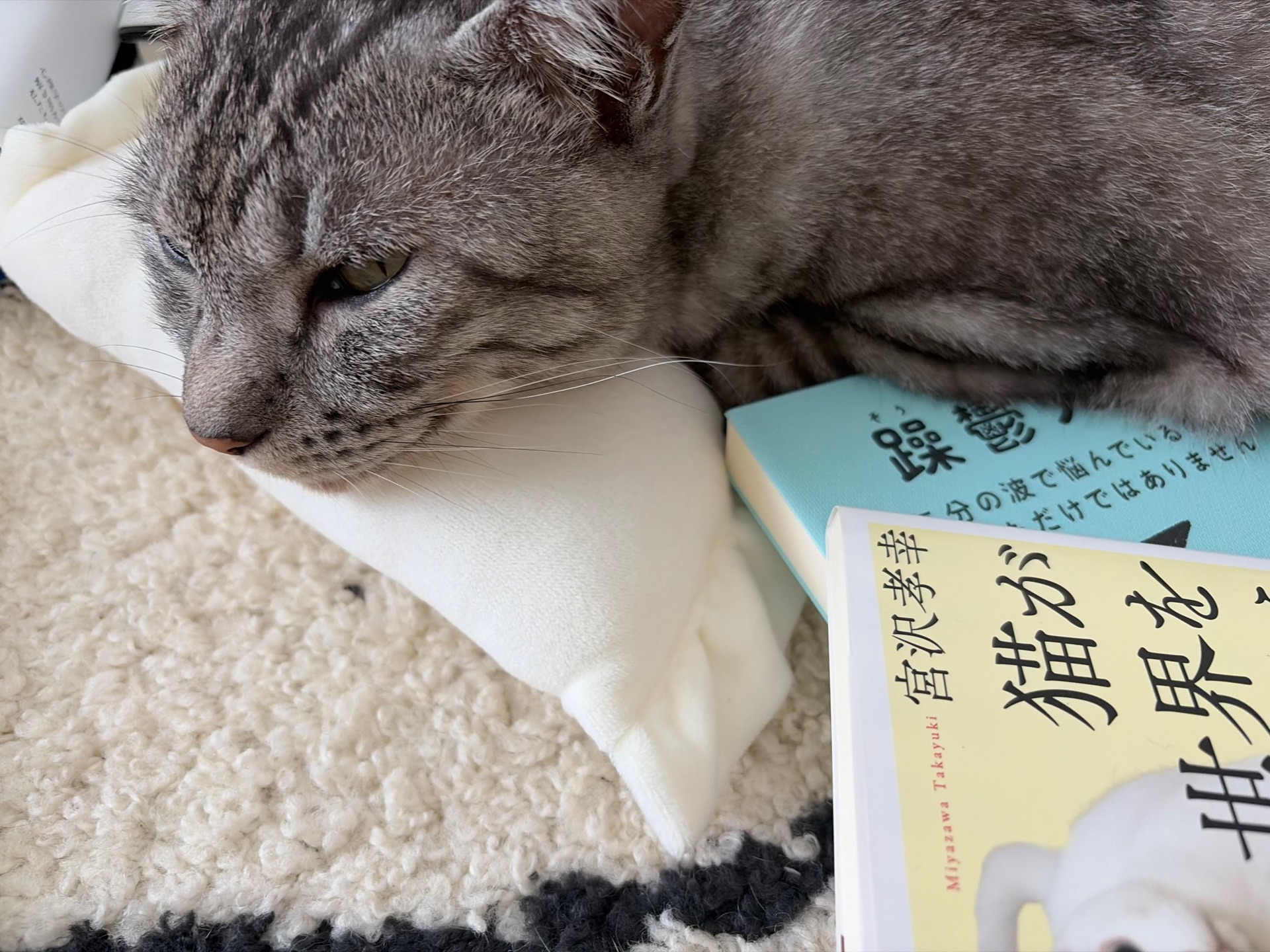 猫が世界を救う