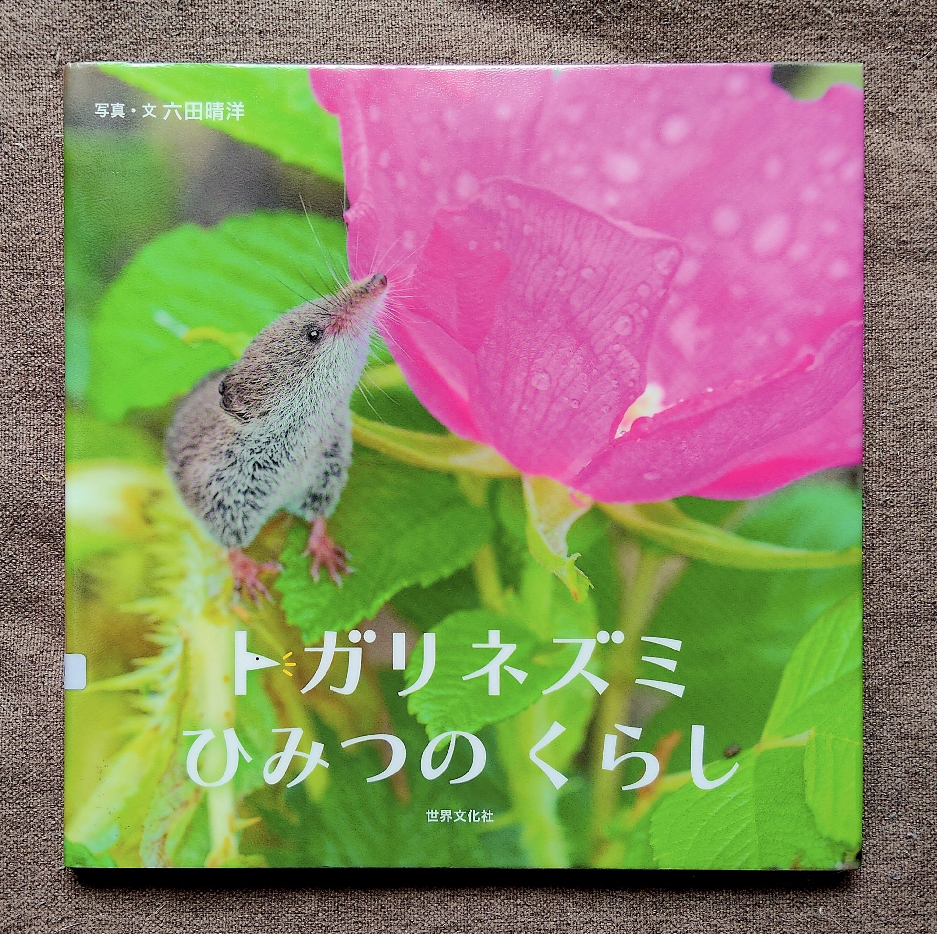 トガリネズミ ひみつのくらし