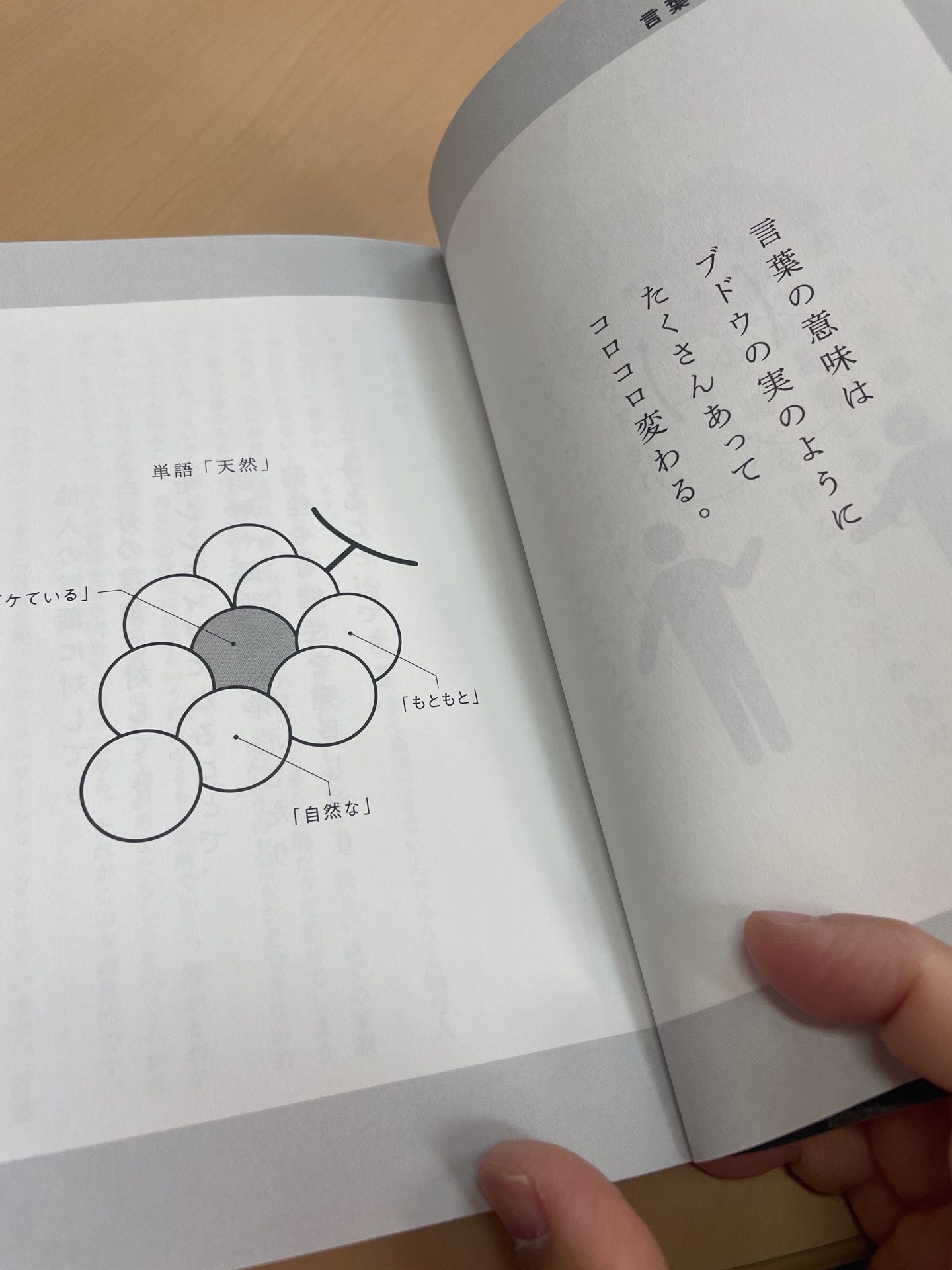 僕たちは言葉について何も知らない