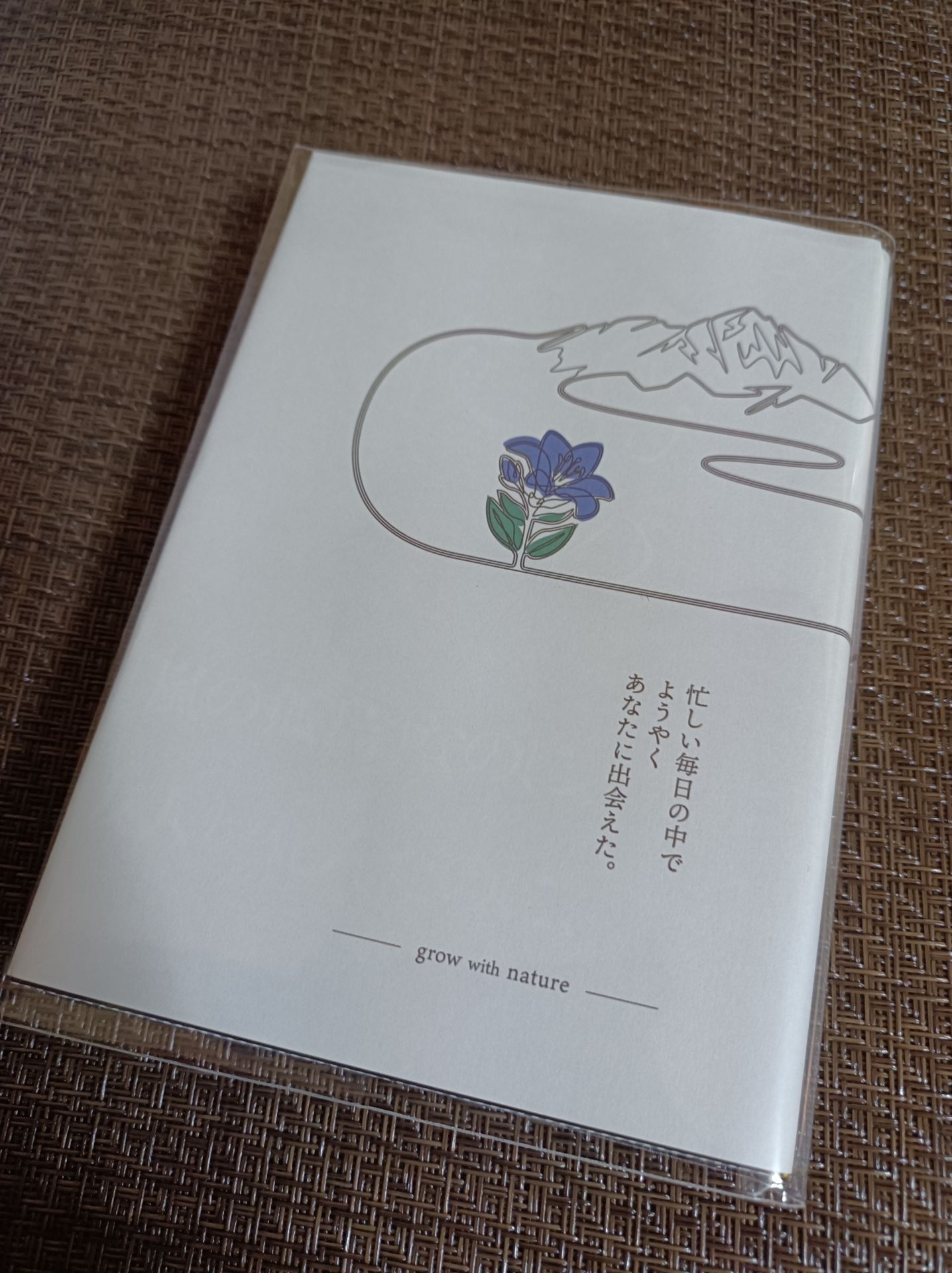 首切り島の一夜