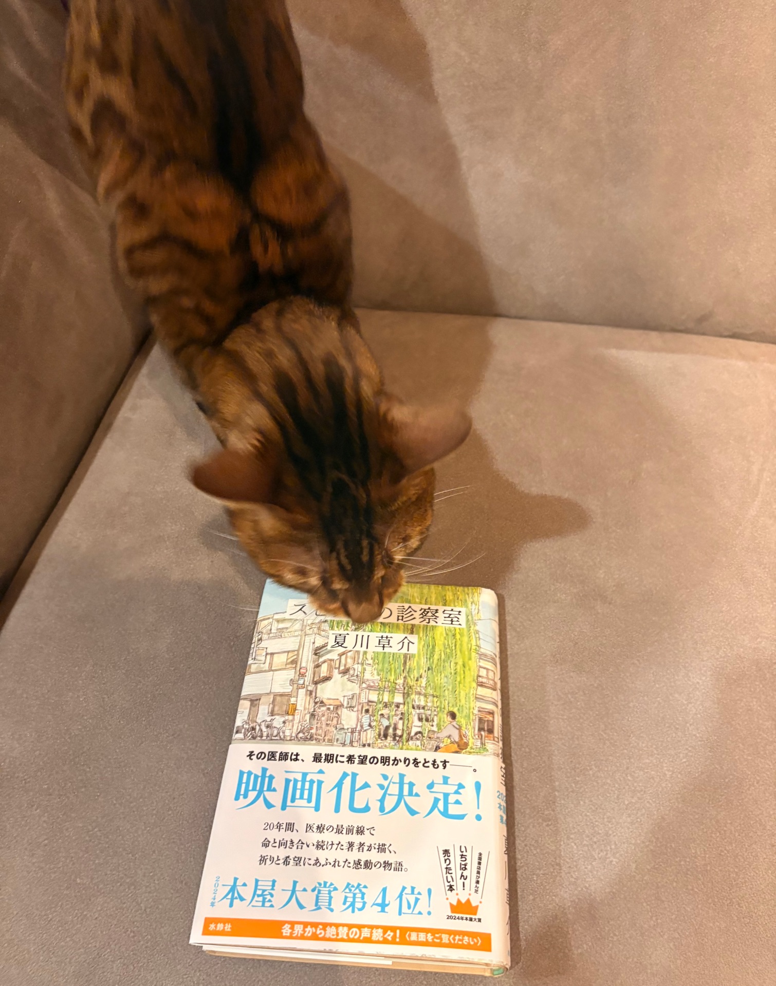 スピノザの診察室