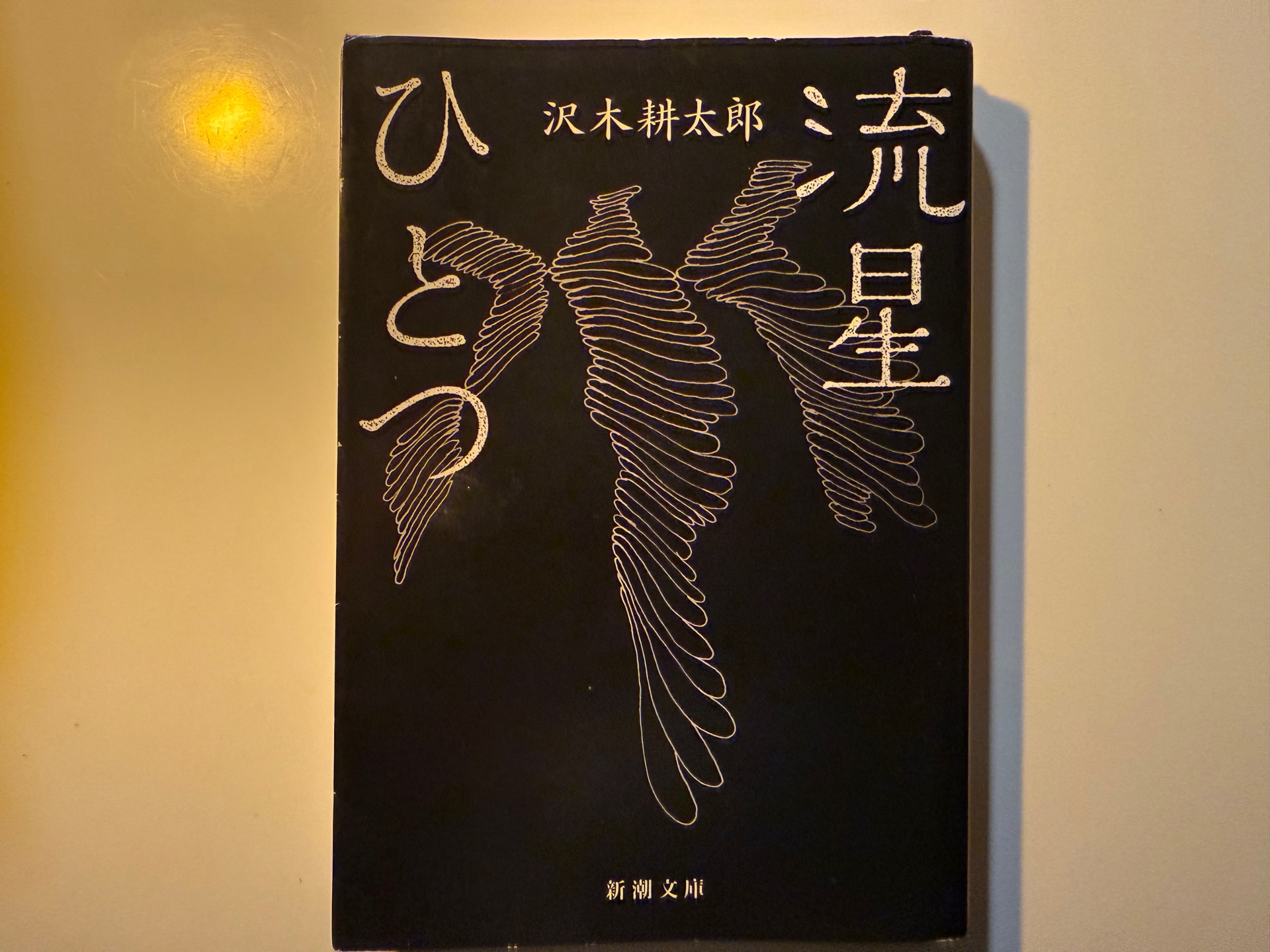 流星ひとつ