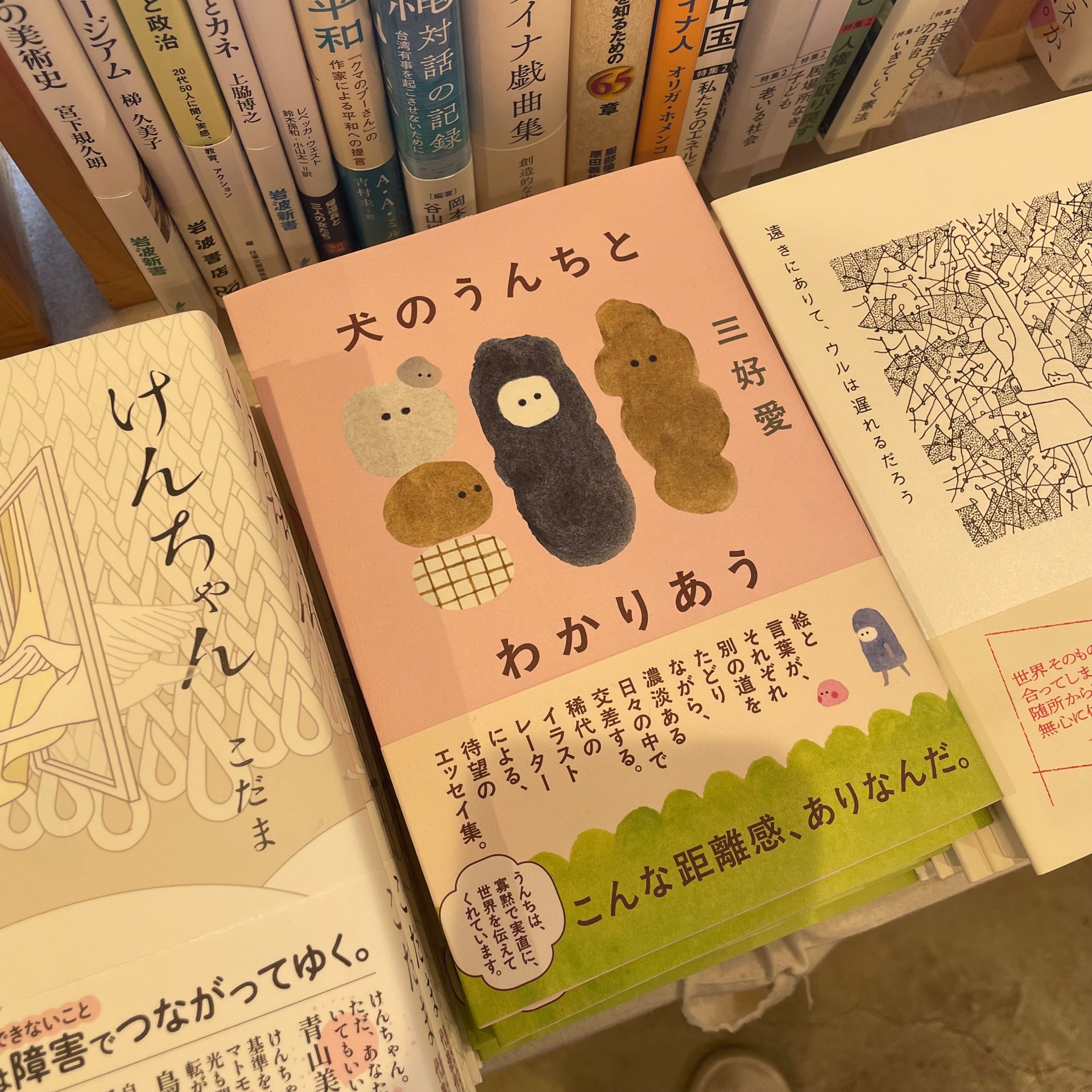 犬のうんちとわかりあう