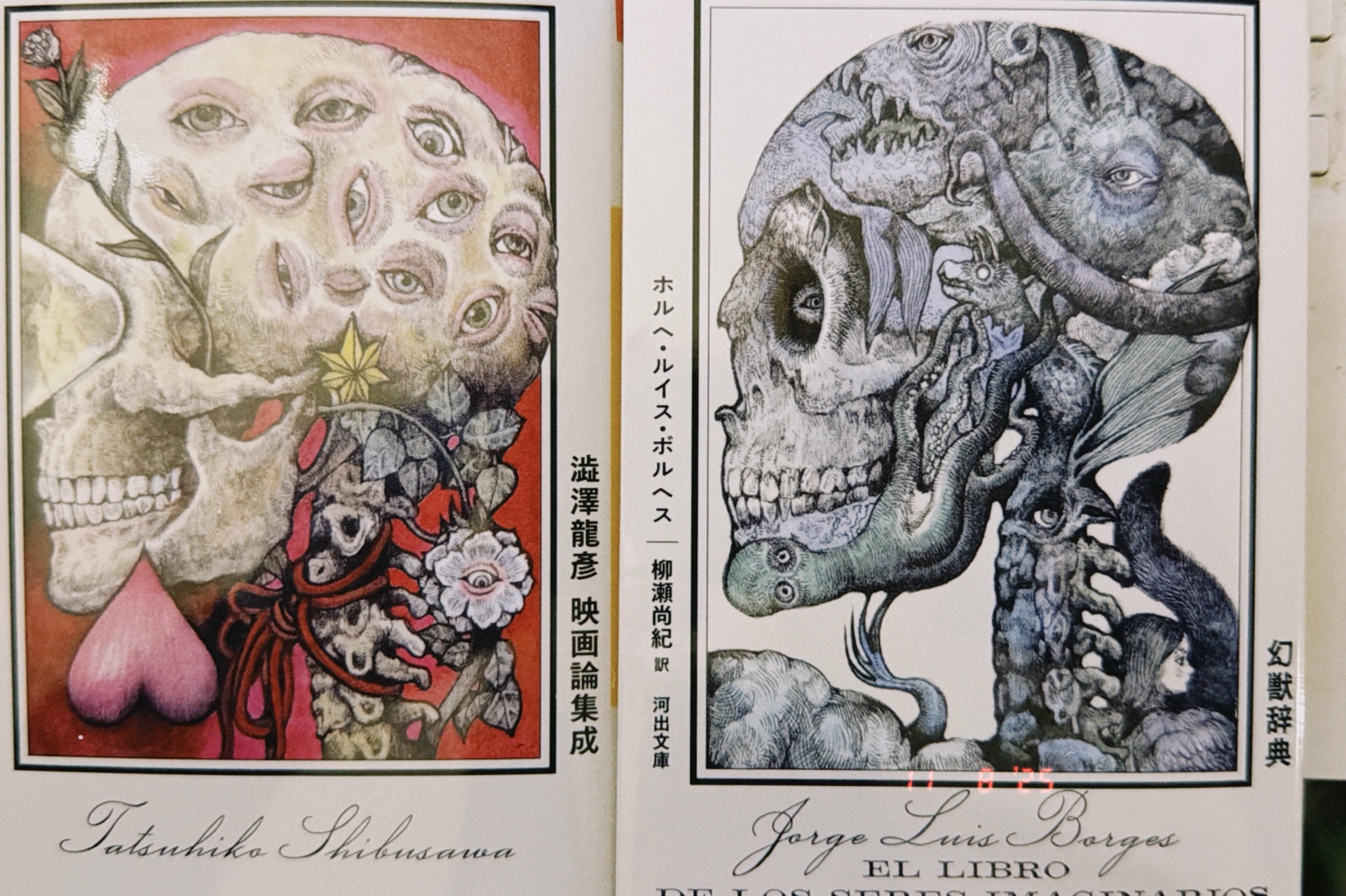 澁澤龍彦　映画論集成