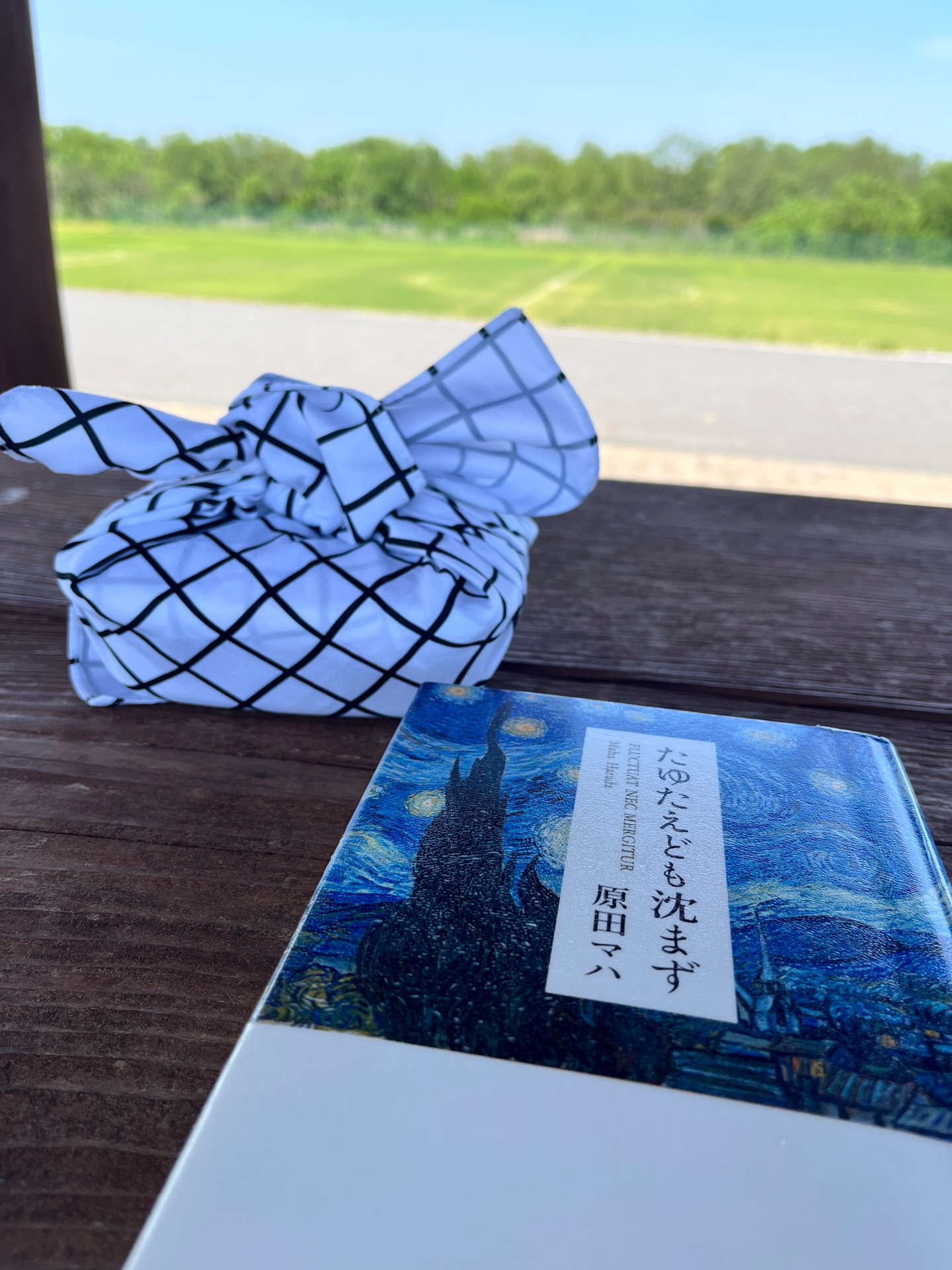 たゆたえども沈まず