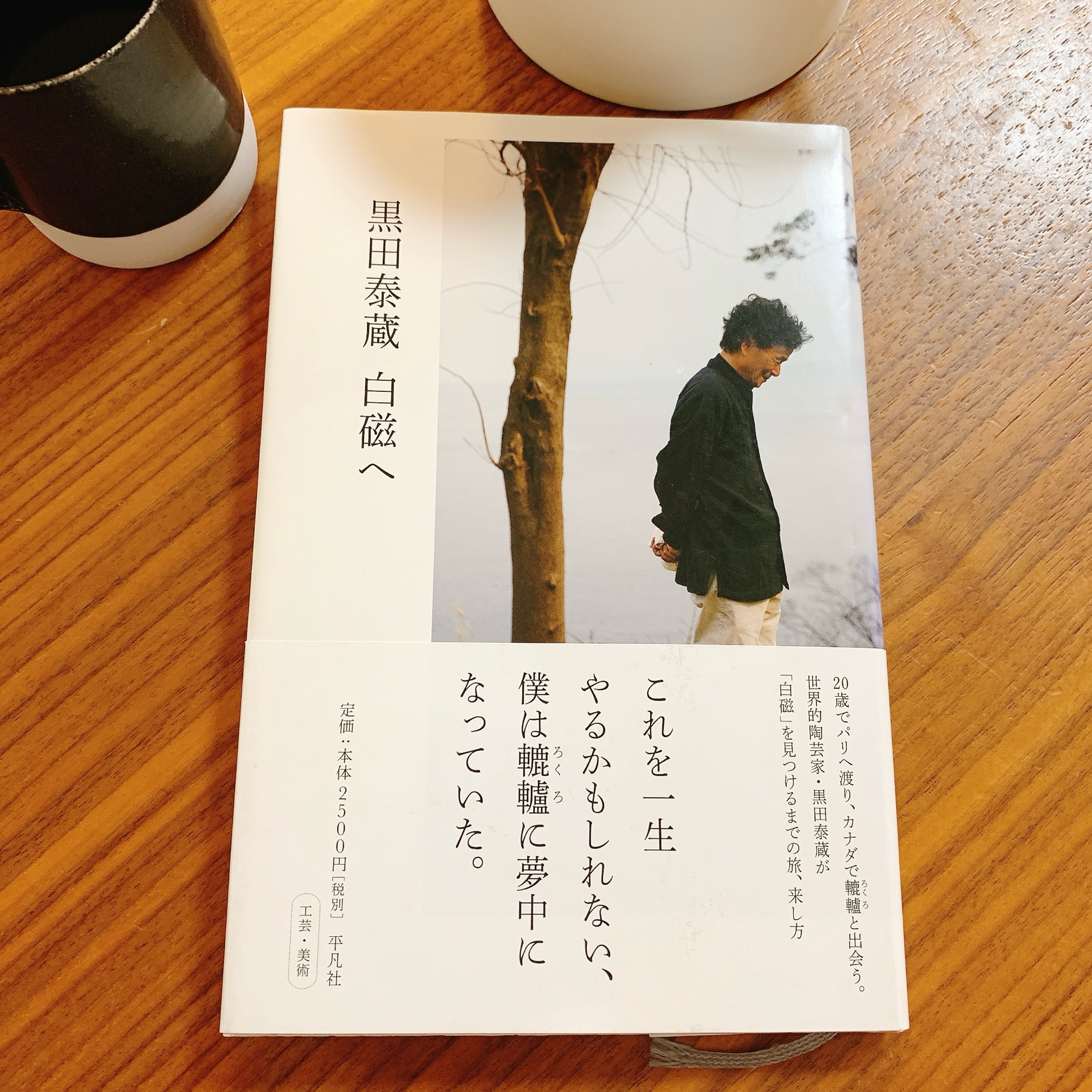黒田泰蔵　白磁へ