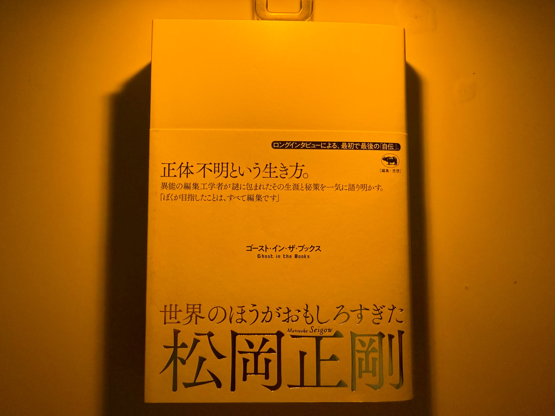 世界のほうがおもしろすぎた