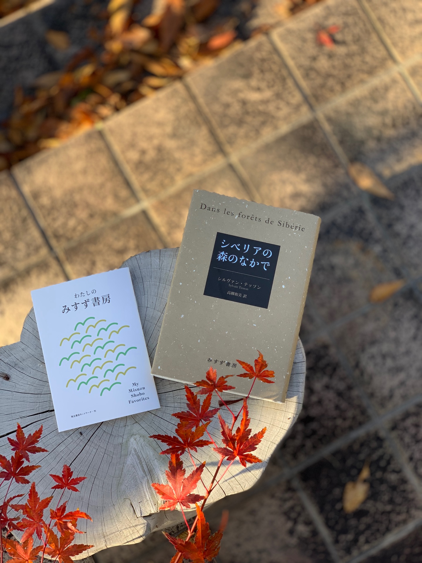 シベリアの森のなかで