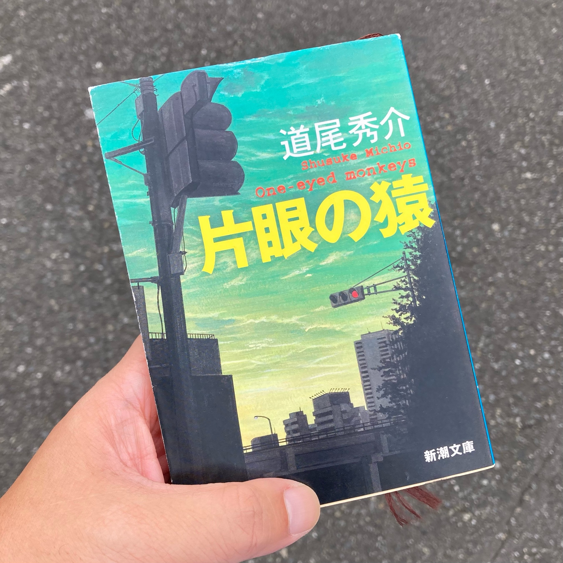 片眼の猿