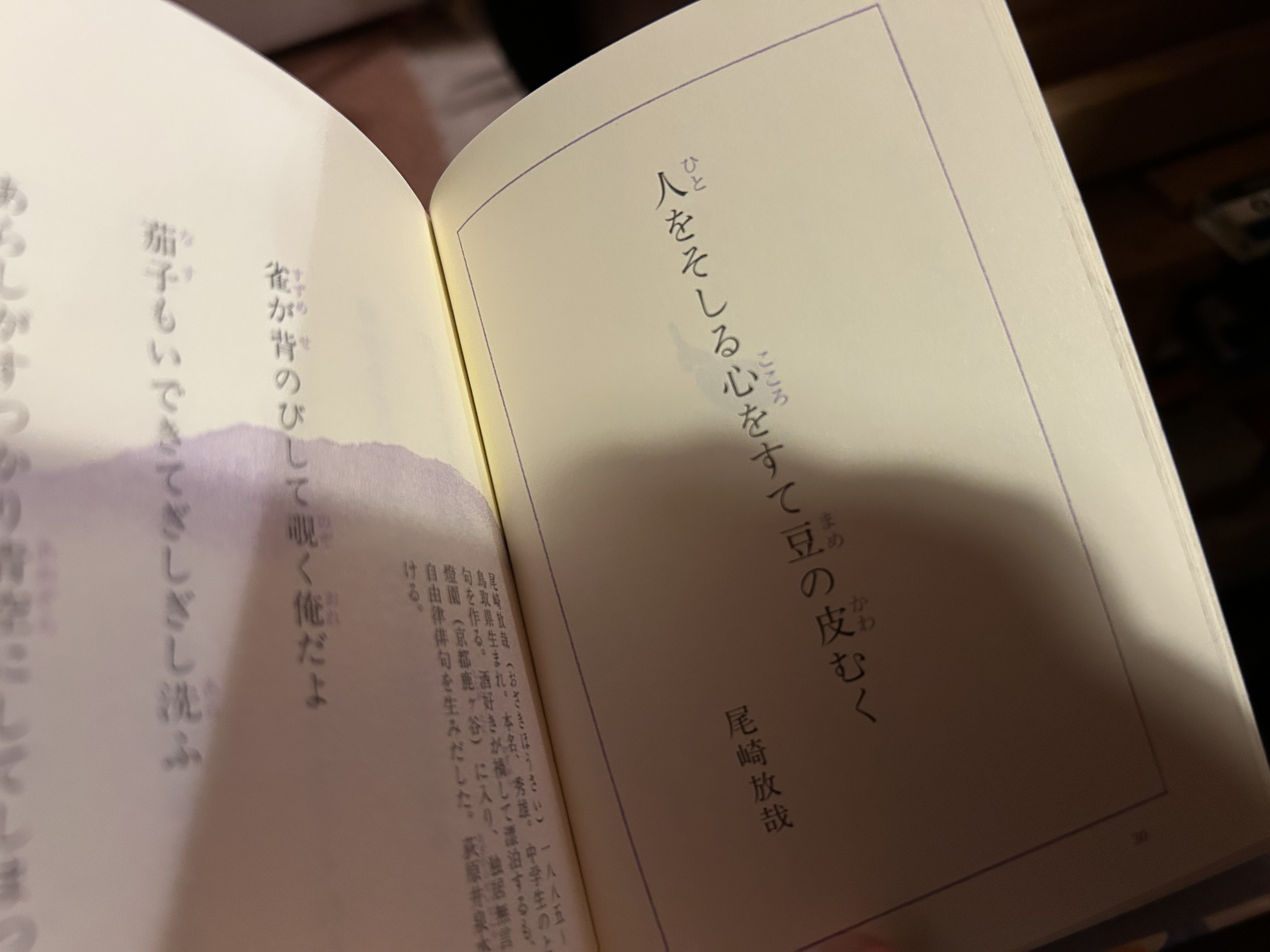 ポケット俳句