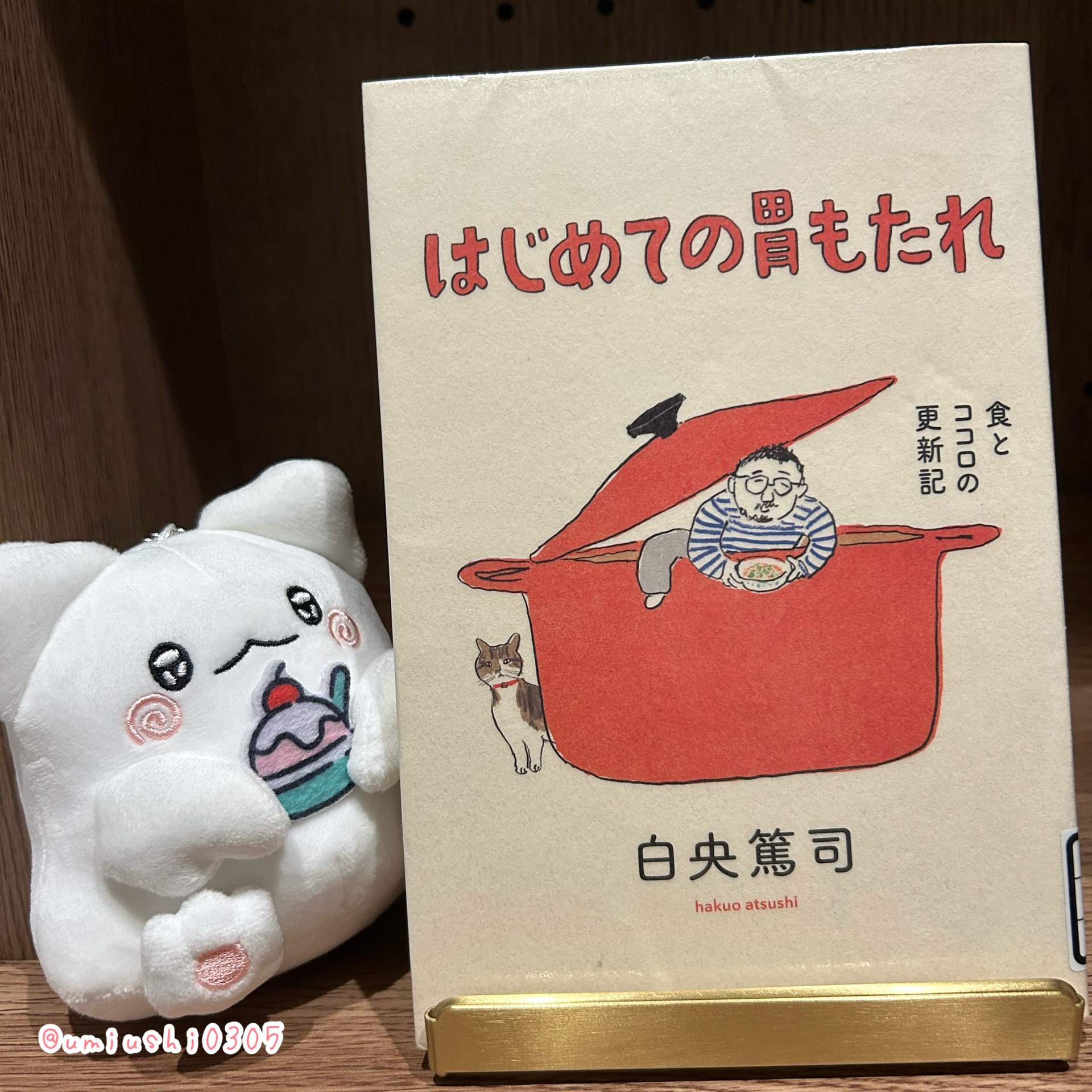 はじめての胃もたれ　食とココロの更新記