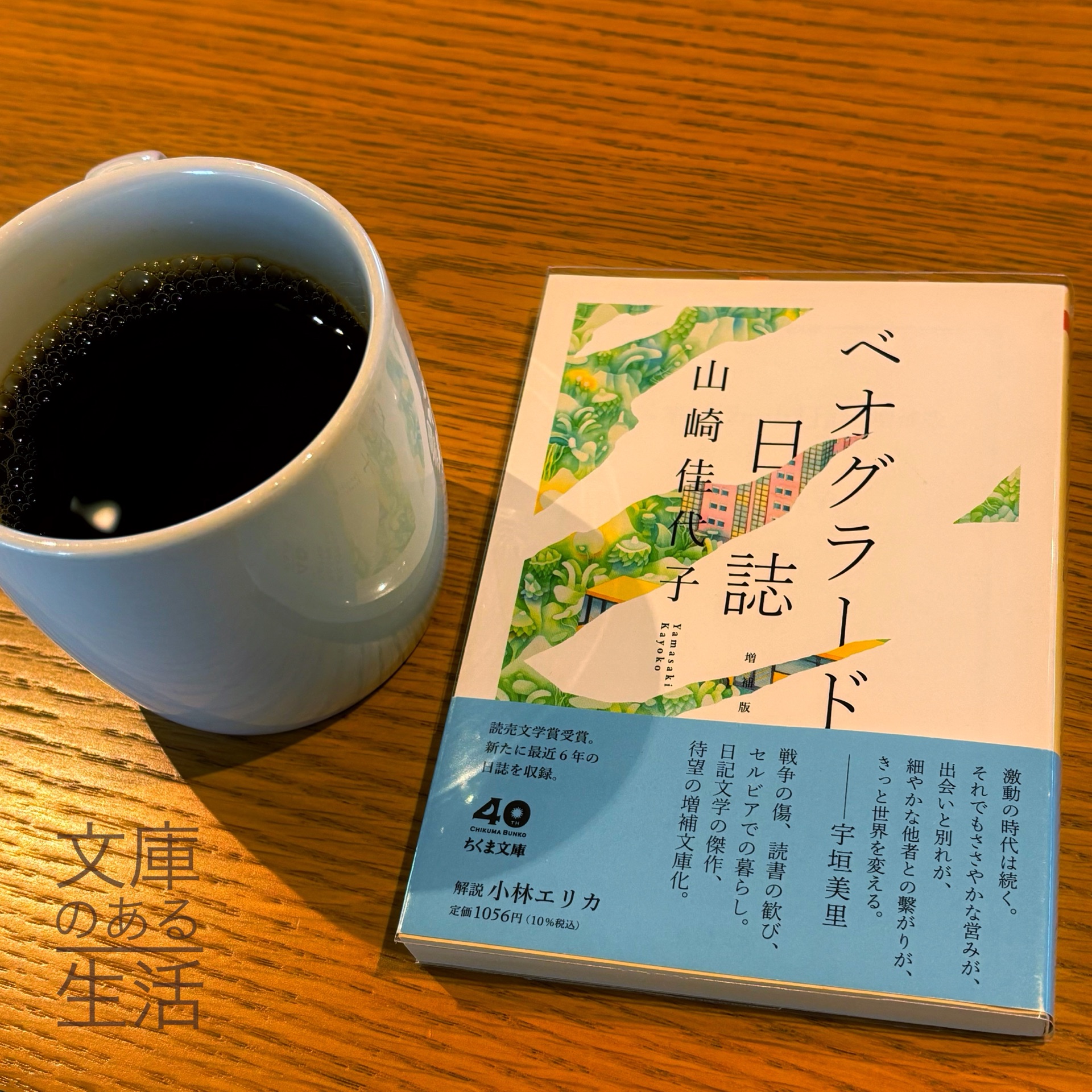 ベオグラード日誌　増補版