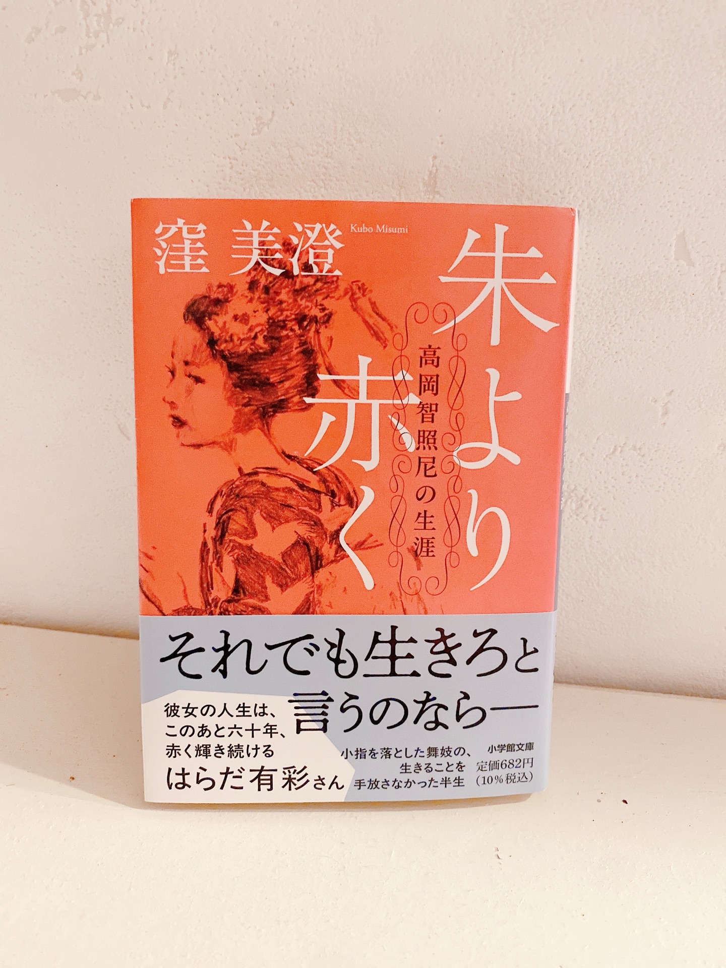 朱より赤く 高岡智照尼の生涯
